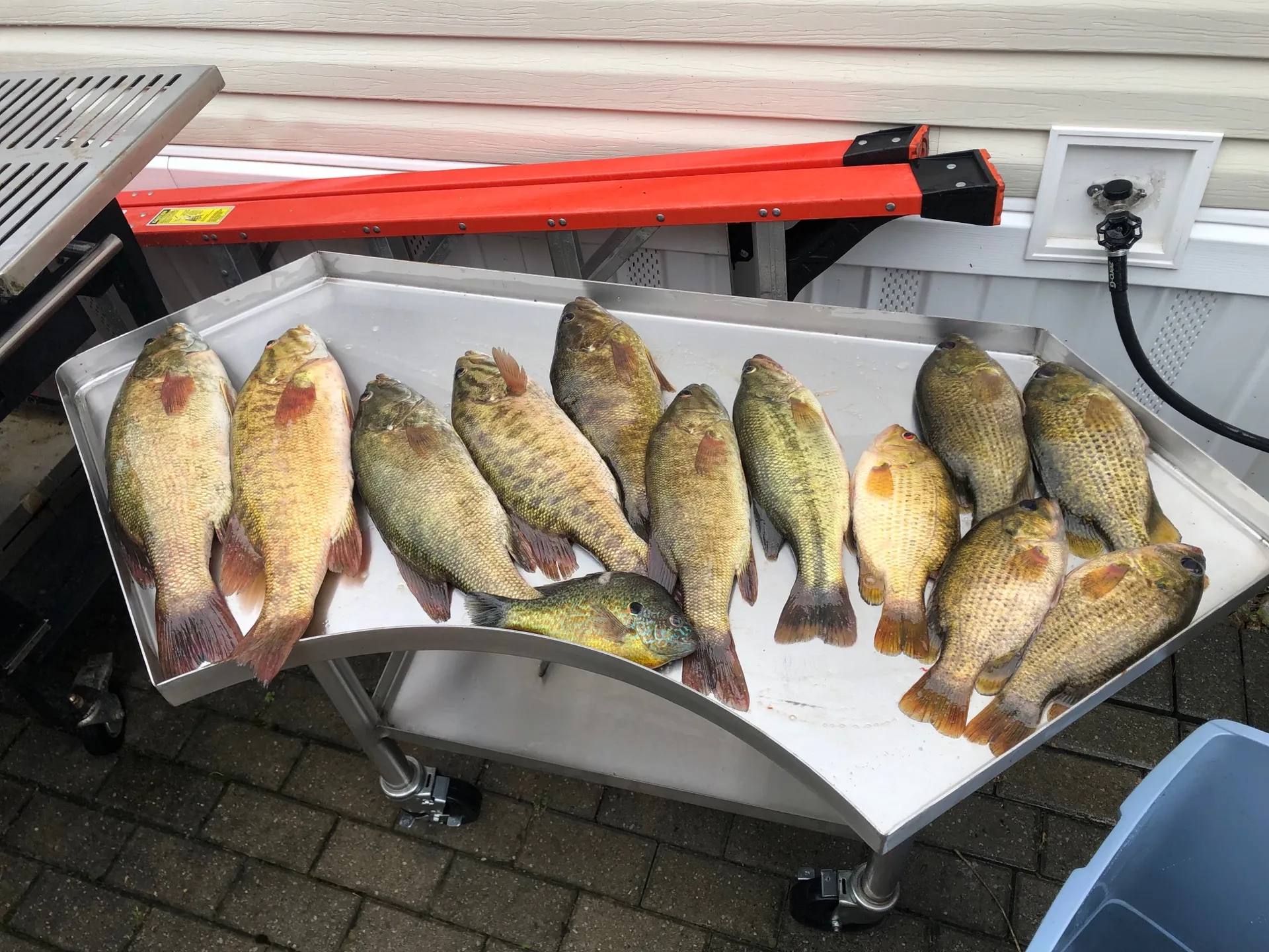 The ultimate Keuka Lake fishing boat and pleasure boat 