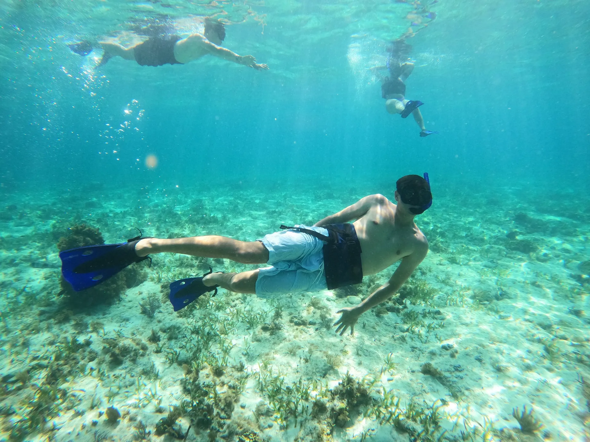 Sleek &amp; Stylish 23ft SeaRay: Your Dream Cruiser Awaits! 