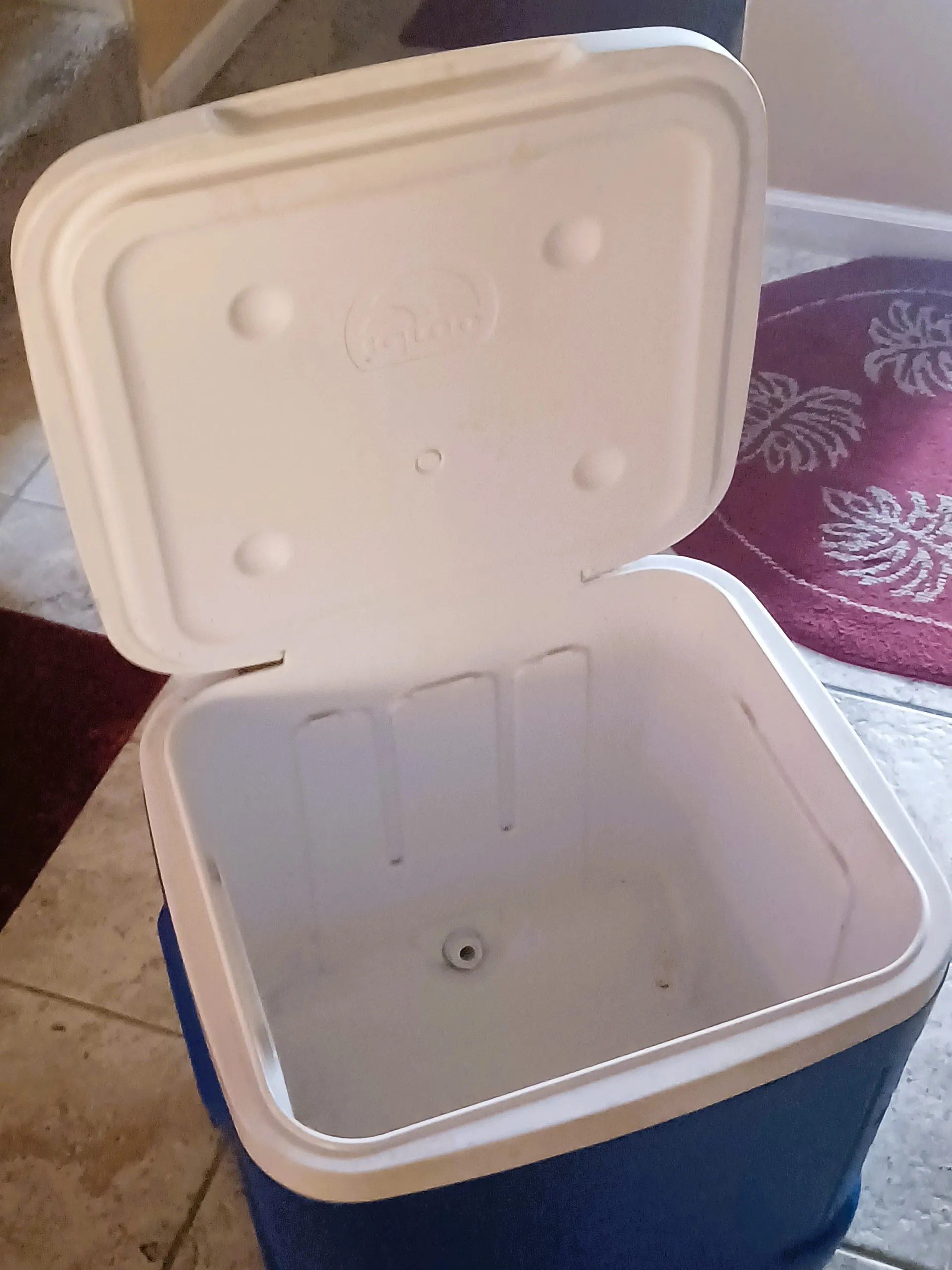 SEA-DOO SWITCH CRUISE 21 in San Diego, CA — photo 9