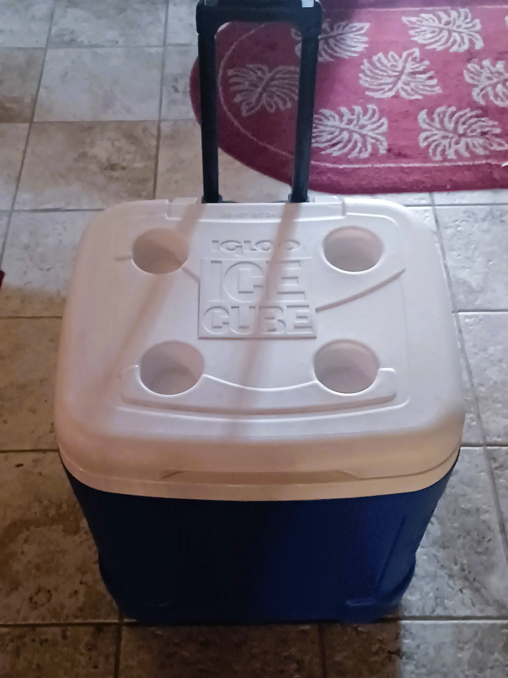 SEA-DOO SWITCH CRUISE 21 in San Diego, CA — photo 10