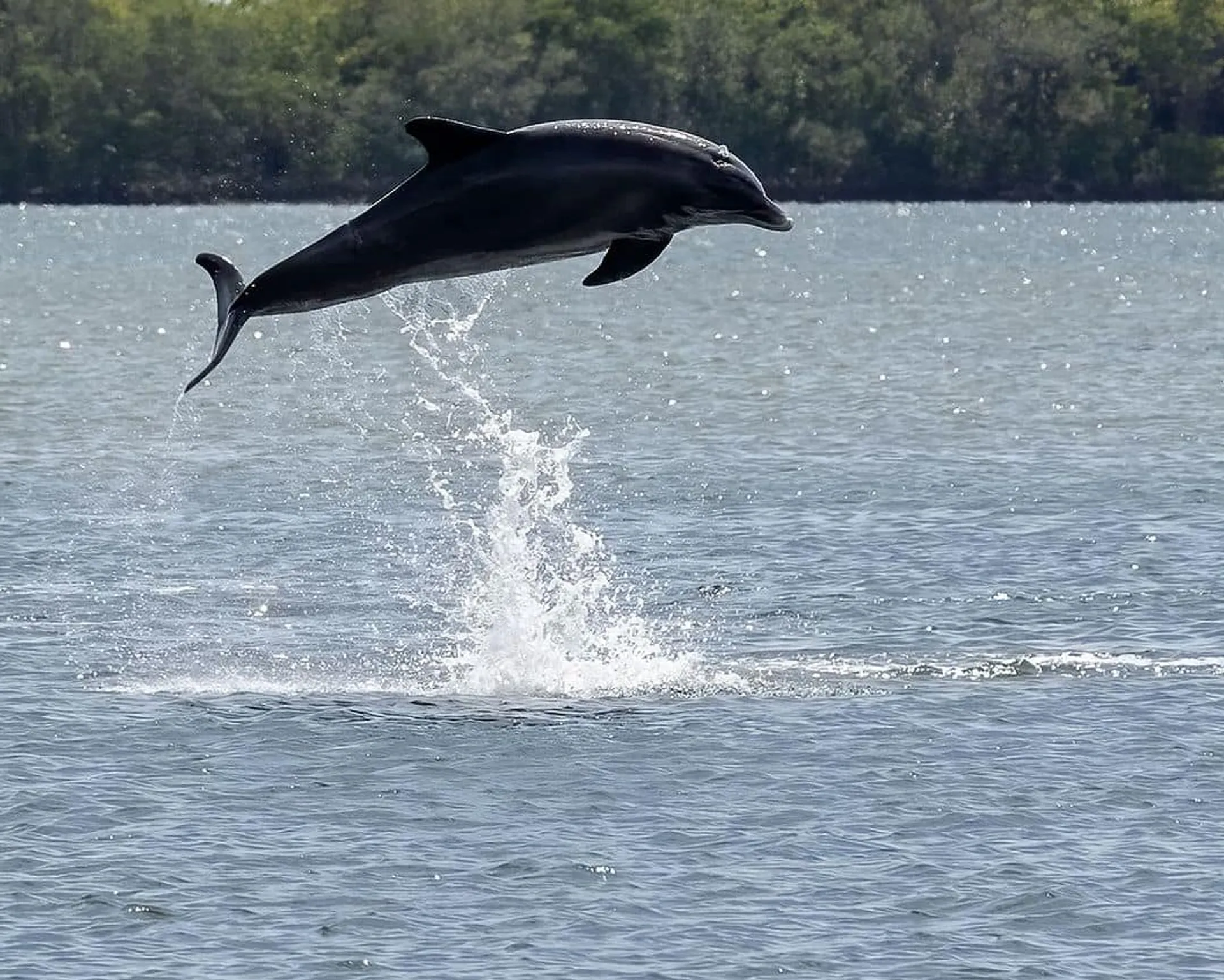 Luxurious Leopard 40 Catamaran with Water Toys/Paddle Boards Included
