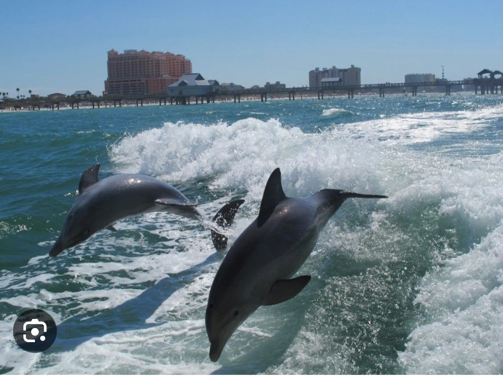 Regal OBX 24Ft Spacious, Fuel Included! Social Seating,No hidden Fees!