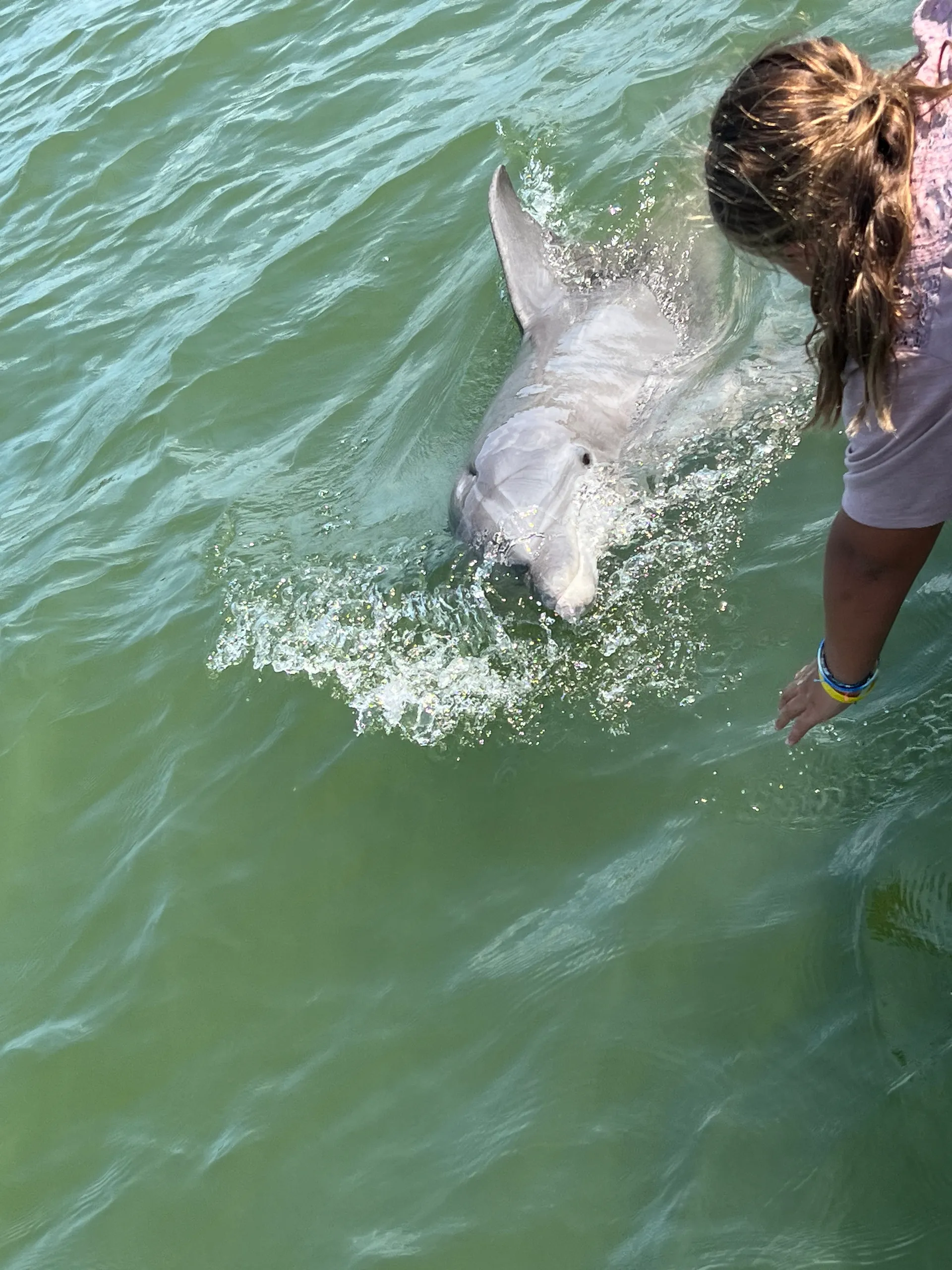 Luxury Sports Cruiser - Your Day, Your Way!