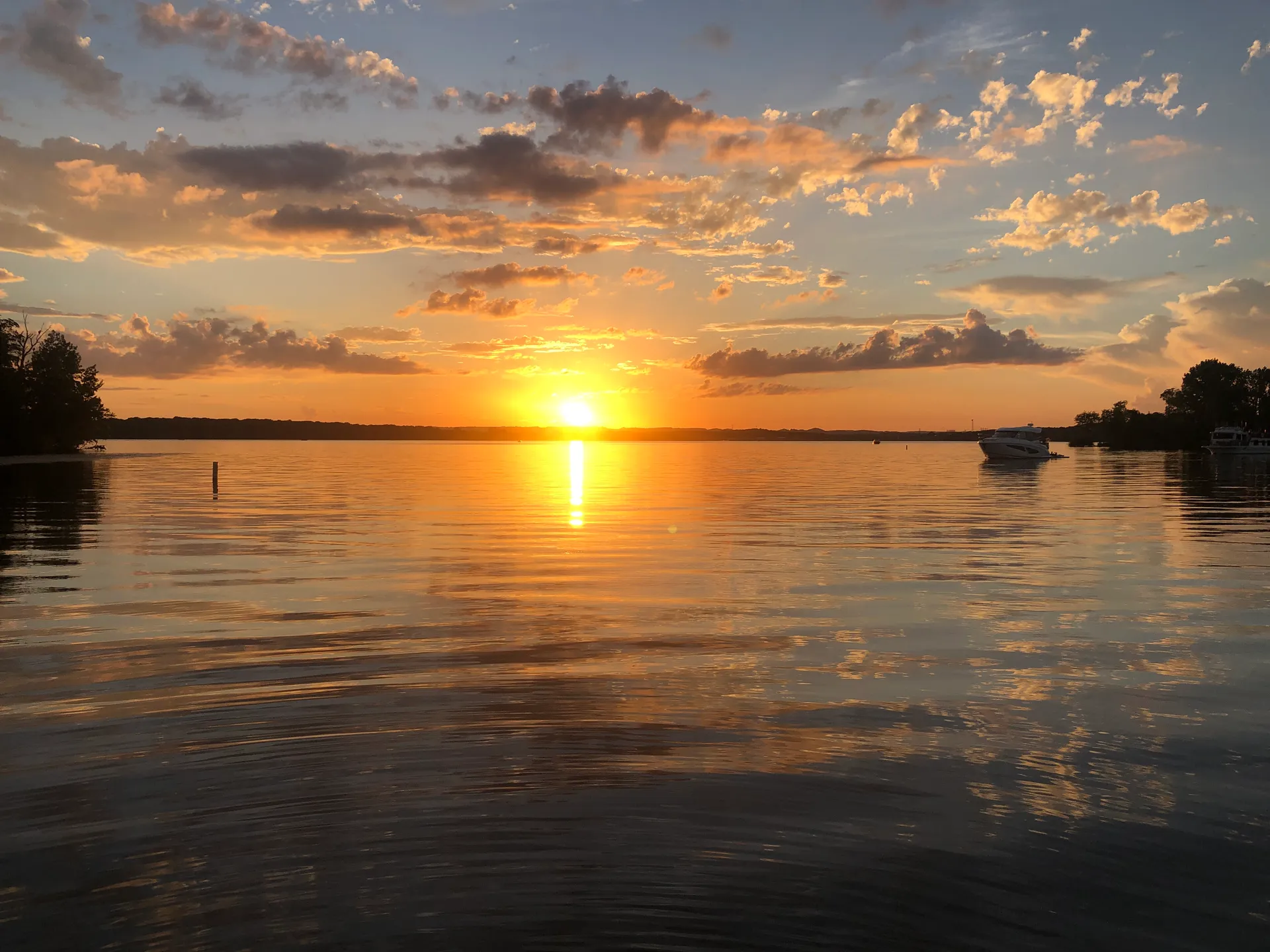 Sea Ray Boats 305 Sedan Bridge in Hardin, KY — photo 8