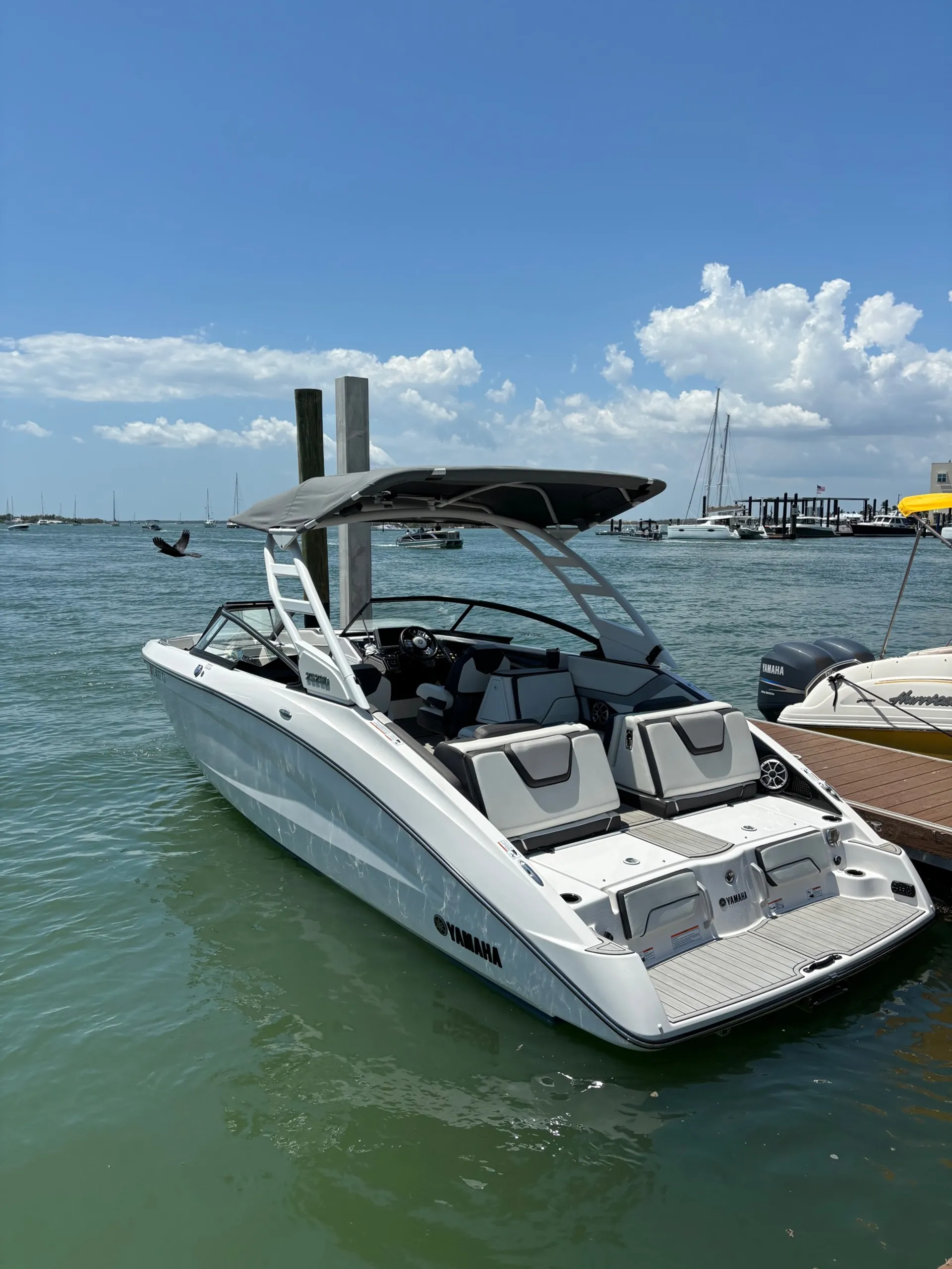 Boating in Pure Luxury