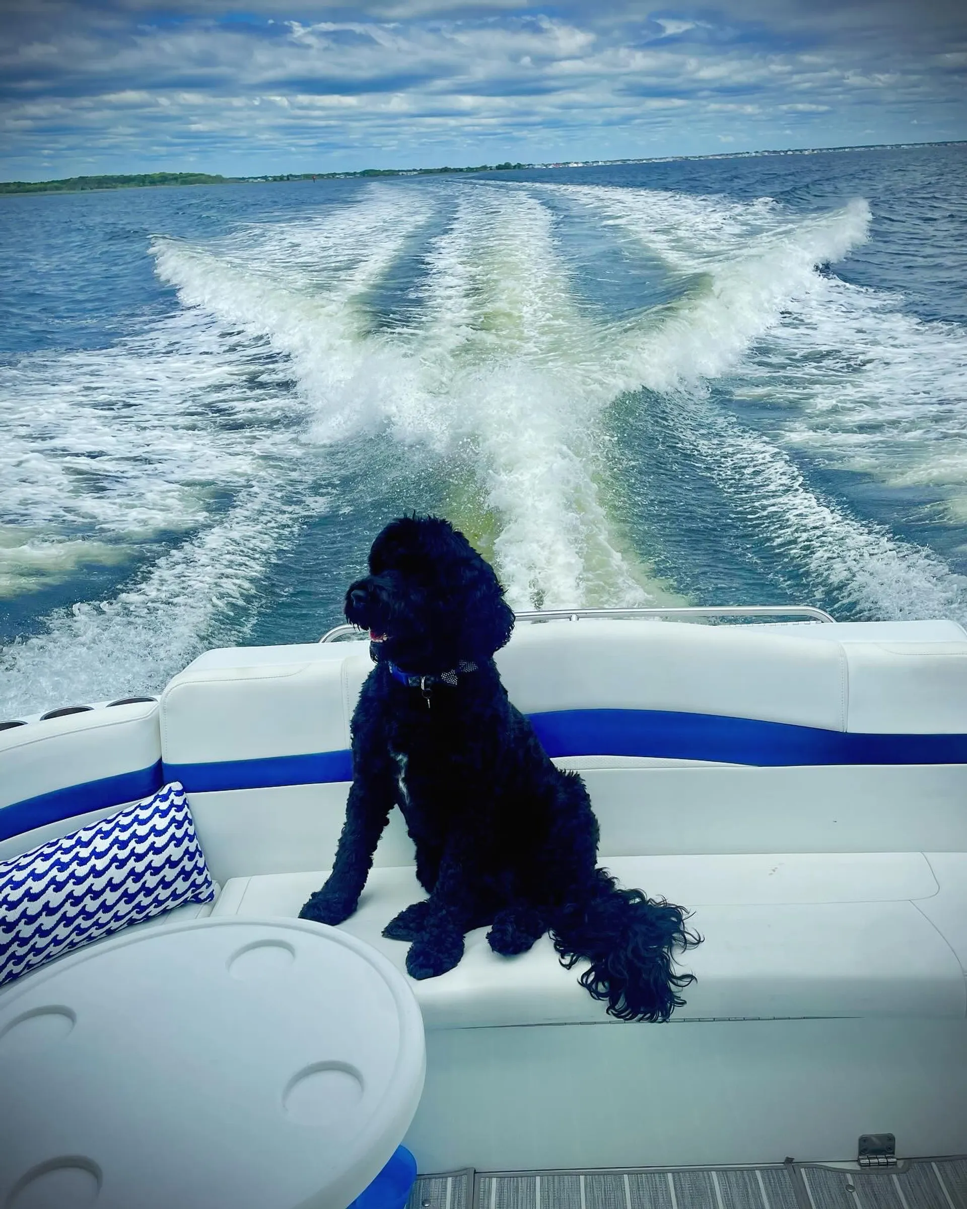 Jersey Shore Fun!!  Formula 40 PC