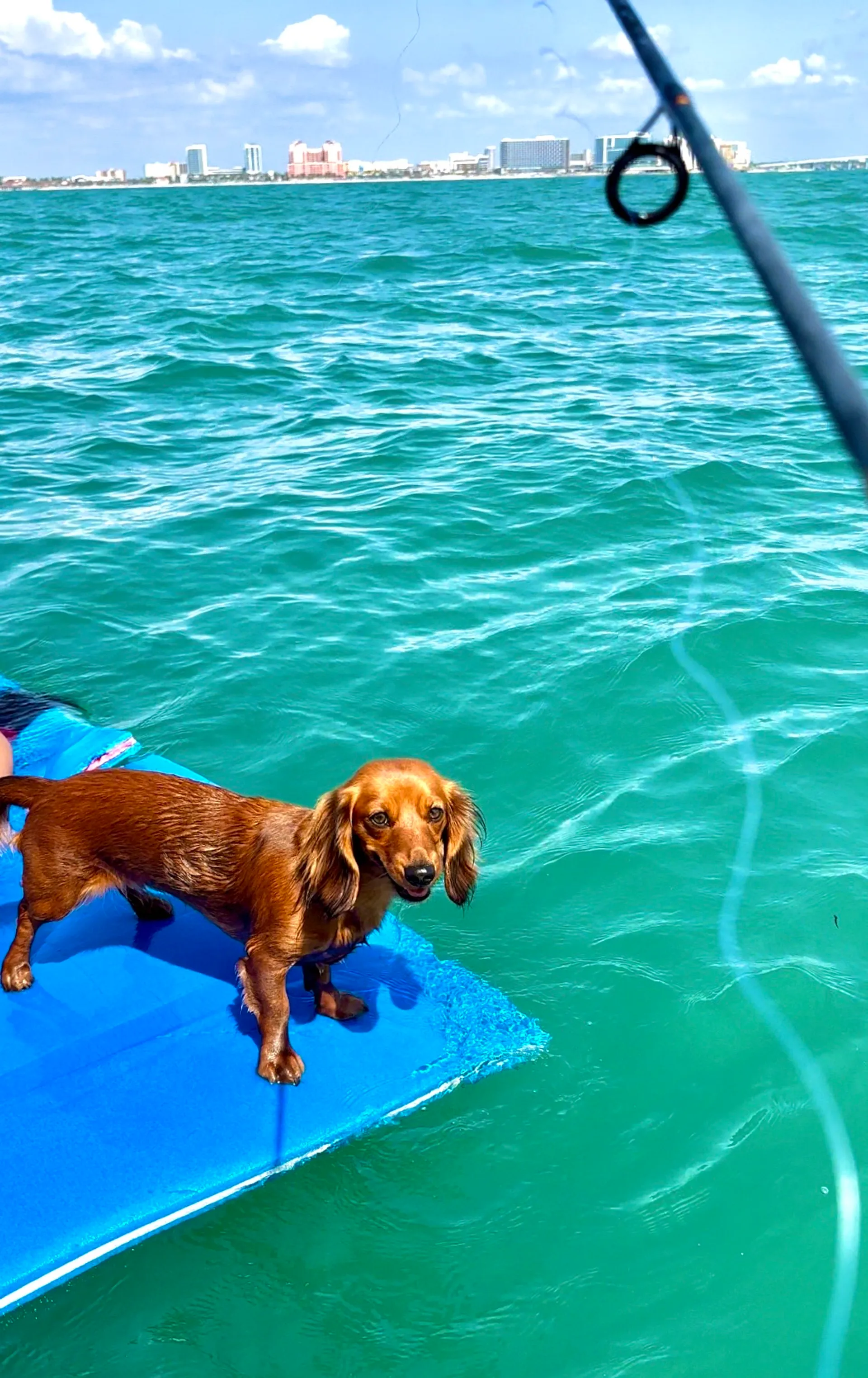 Yacht Rental Succulenta Rosé Captian Included