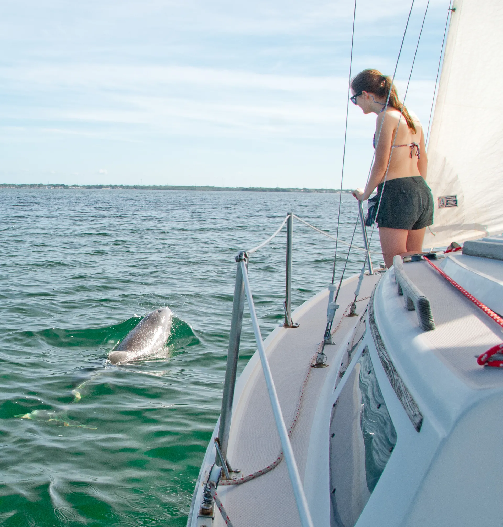 Catalina 250 - Sailing in Florida Everglades & Florida Keys