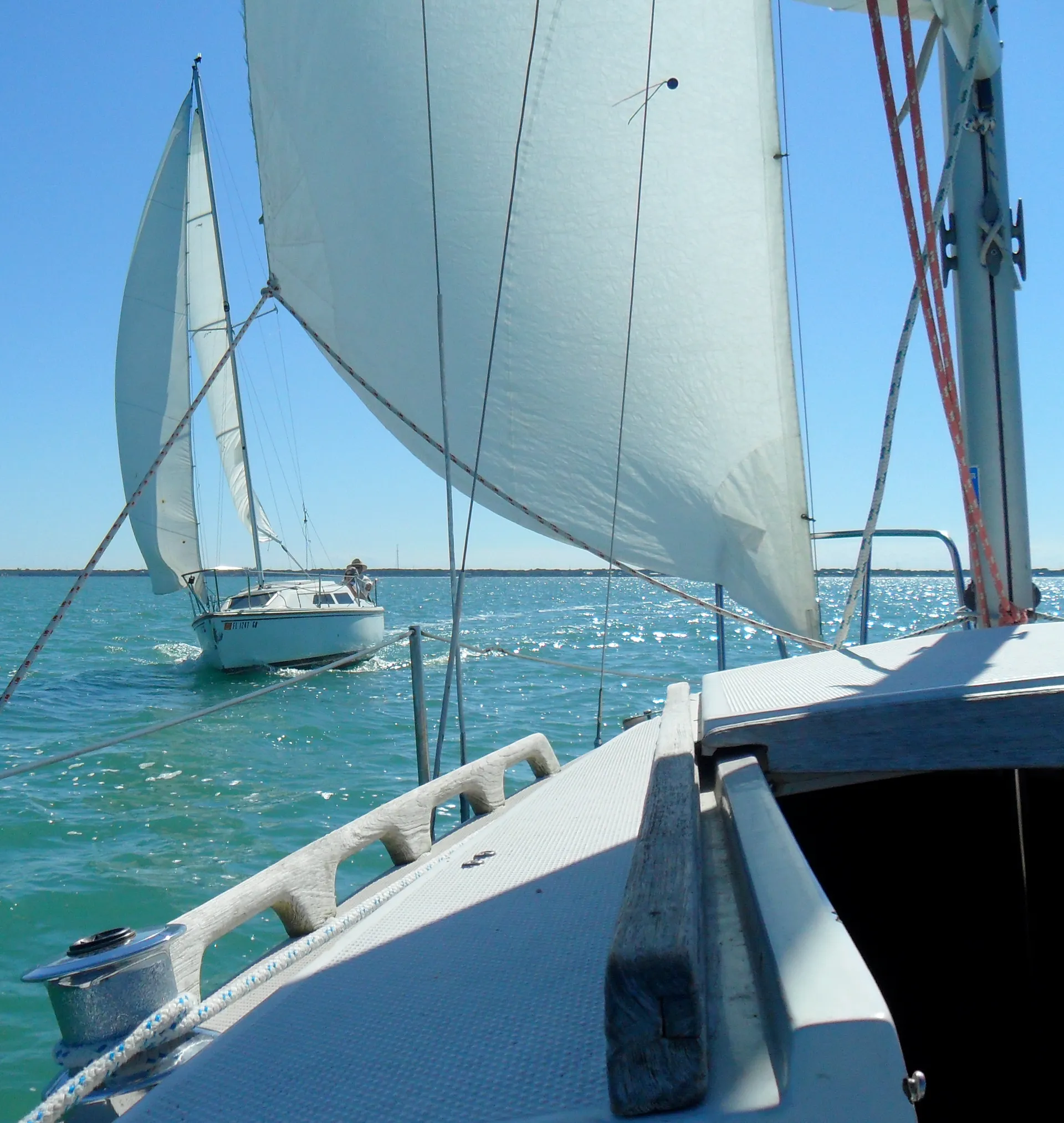 Catalina 250 - Sailing in Florida Everglades & Florida Keys