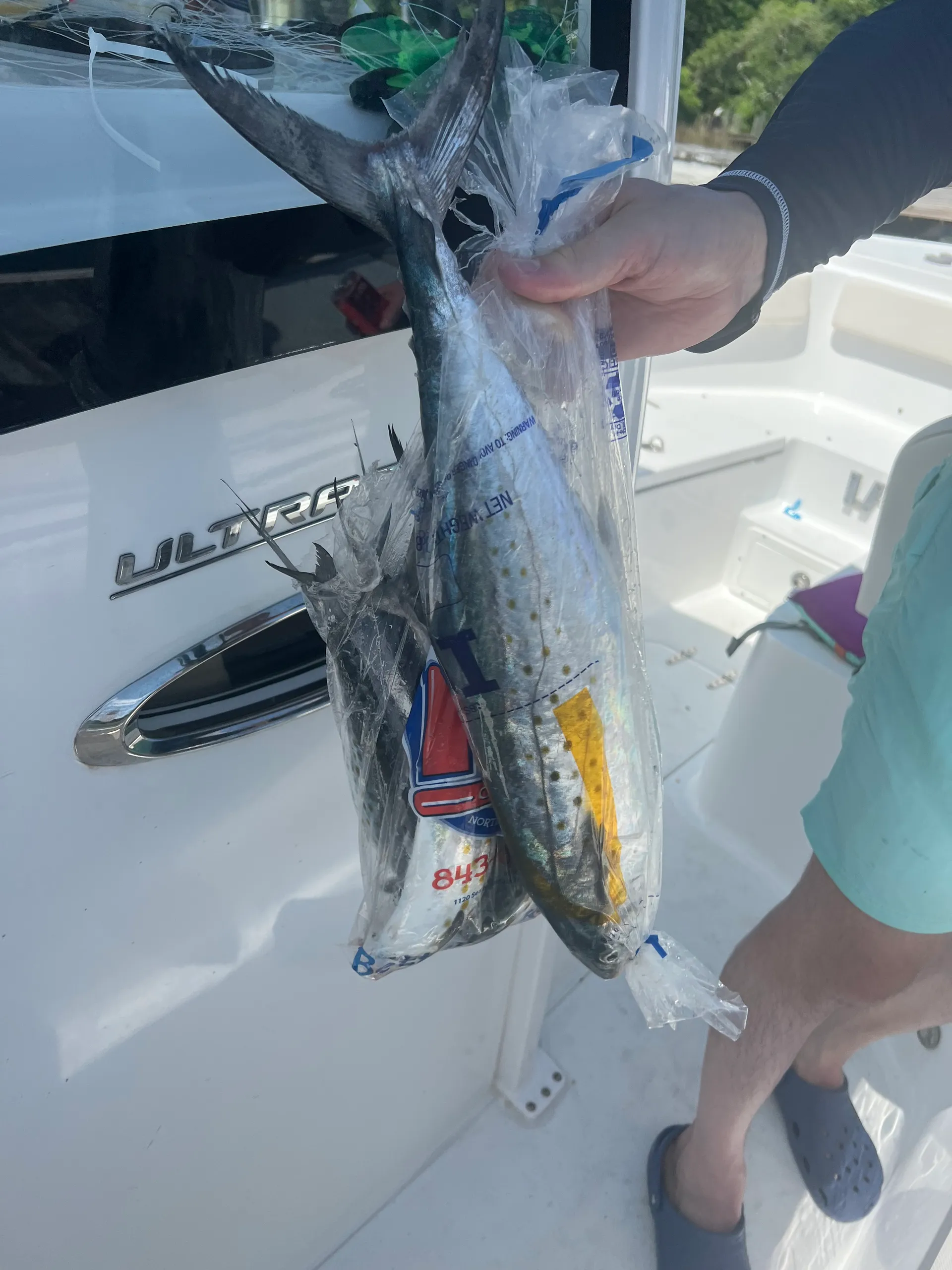 Beautiful 265 Sea Hunt Ultra for Rent or Charter!