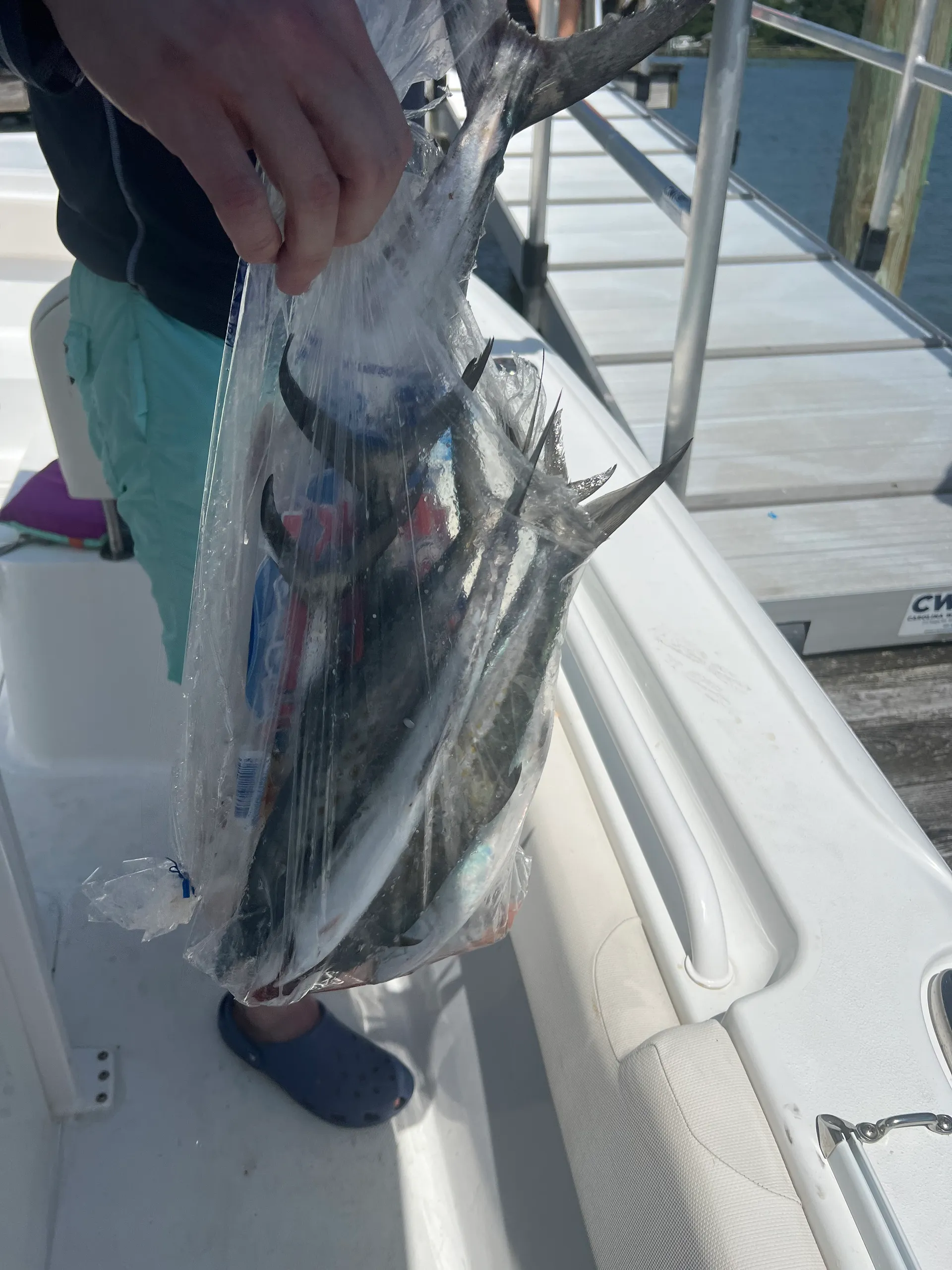 Beautiful 265 Sea Hunt Ultra for Rent or Charter!