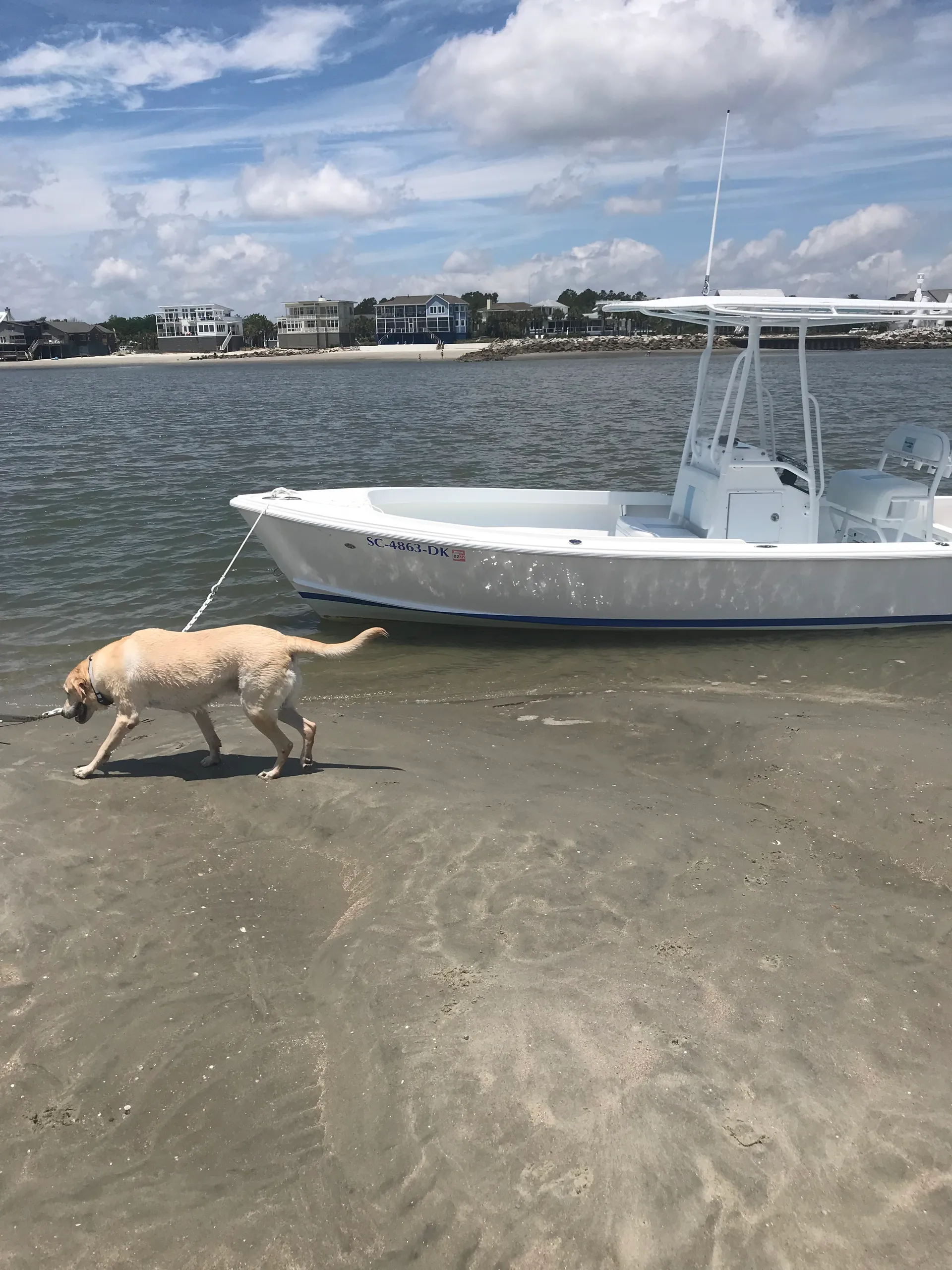 Private boat charter with USCG licensed captain 