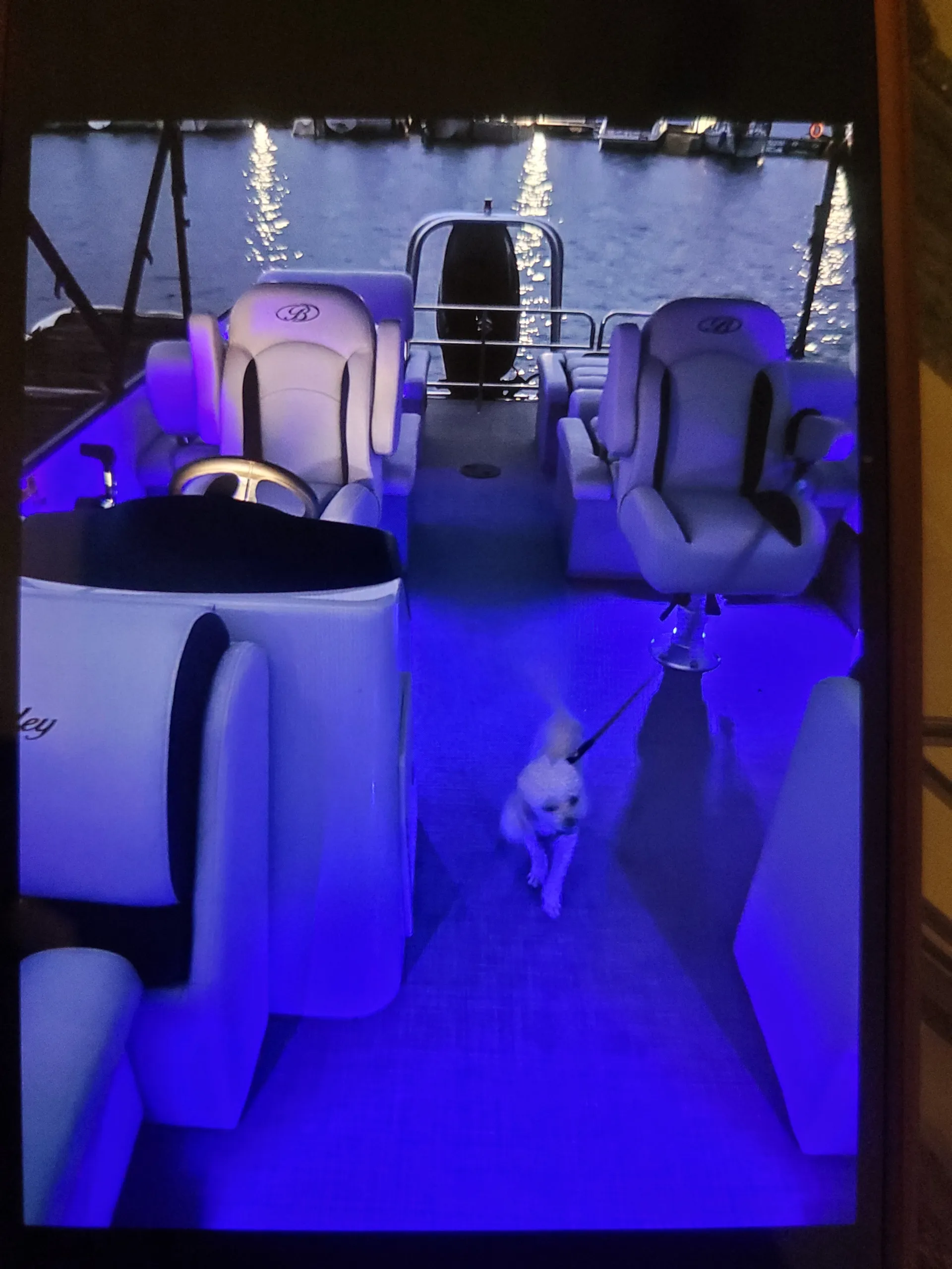 Bentley legacy 223 Quad in Flowery Branch, GA — photo 4