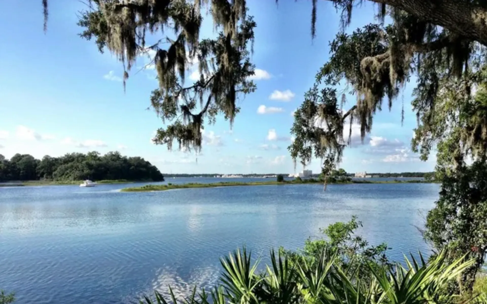 Amazing Pontoon in Panama City! 11 ppl