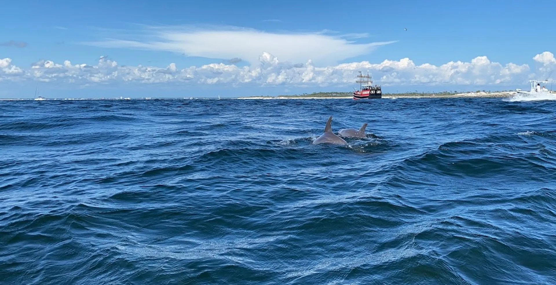 "Always a good time" Best priced pontoons - 10 Passenger!