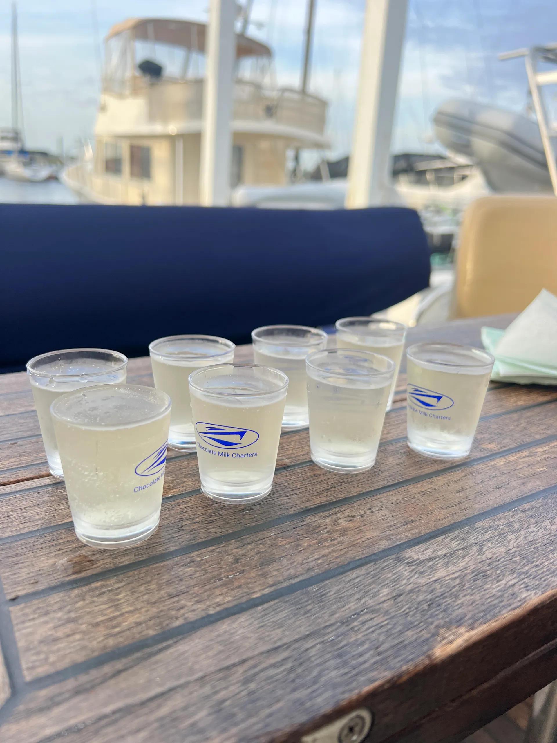 Luxury 46’ Yacht, located in beautiful Charleston,SC 