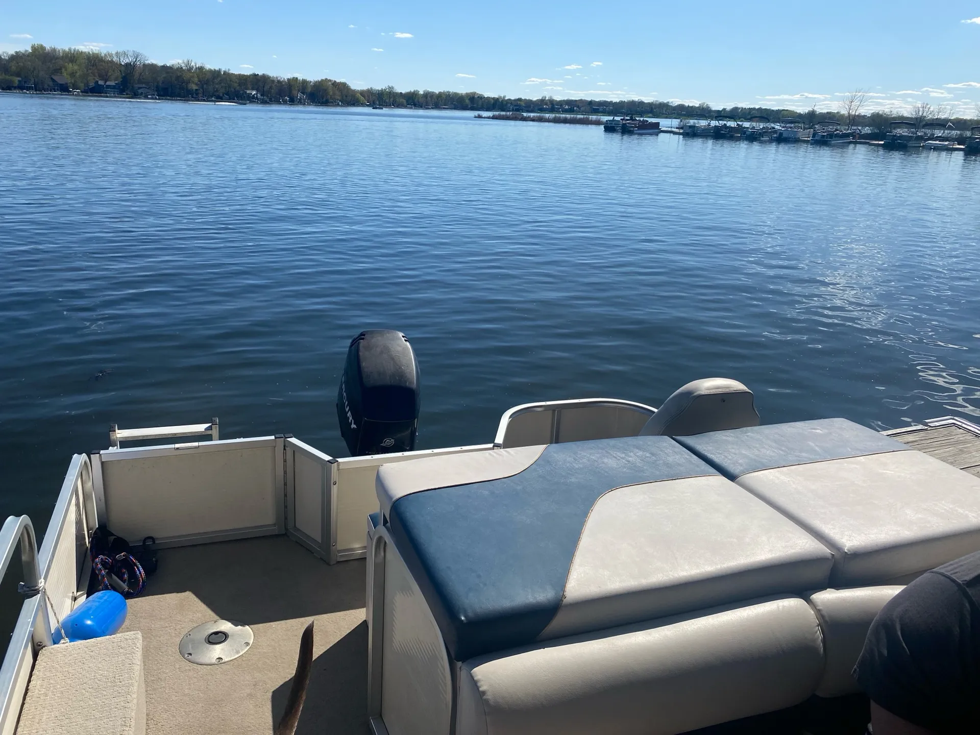 Mr.B-Fly 2 - Available within 30 mins of White Bear Lake area