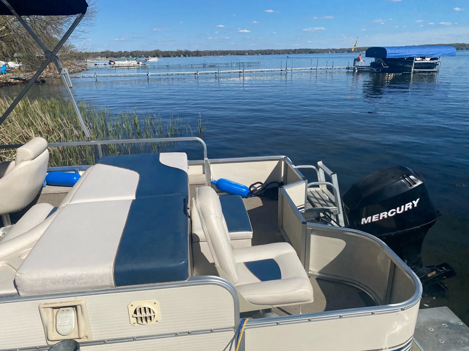 Mr.B-Fly 2 - Available within 30 mins of White Bear Lake area