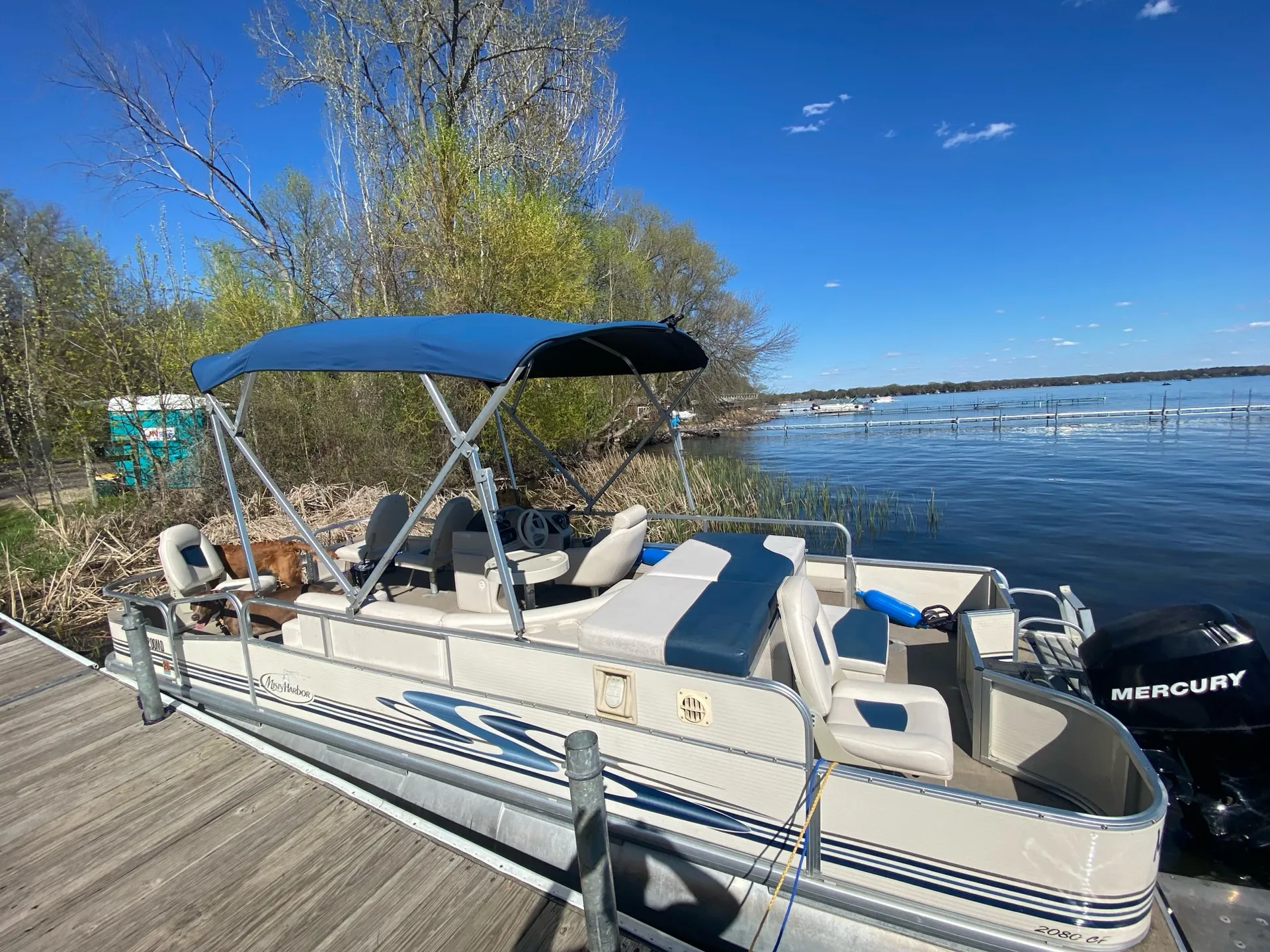 Mr.B-Fly 2 - Available within 30 mins of White Bear Lake area