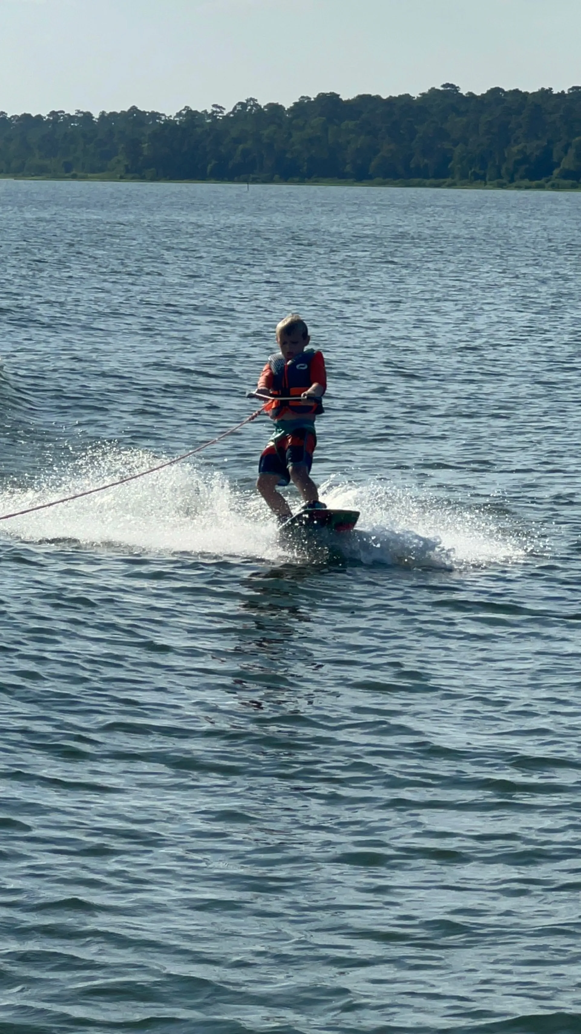 28ft Luxury Tri-Toon w/ Captain | Lake Conroe