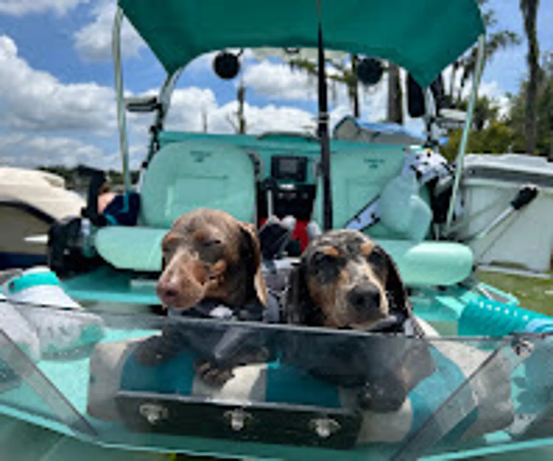 CRAIGCAT CRAIGCAT E2 ELITE W/30HP E-TEC in Cudjoe Key, FL — photo 5