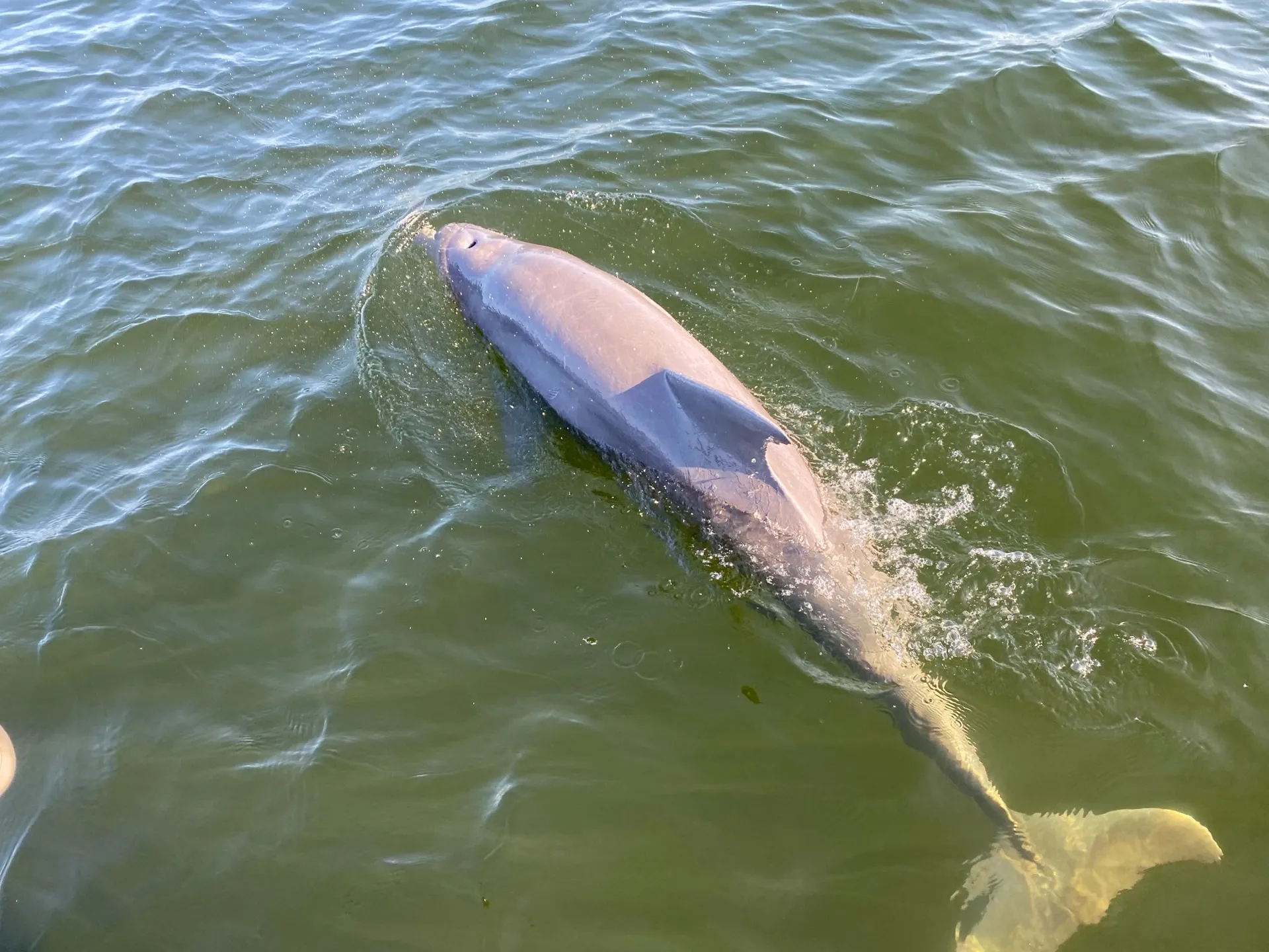 AVALON PONTOONS 25' LSZ CRUISE in Panama City, FL — photo 7