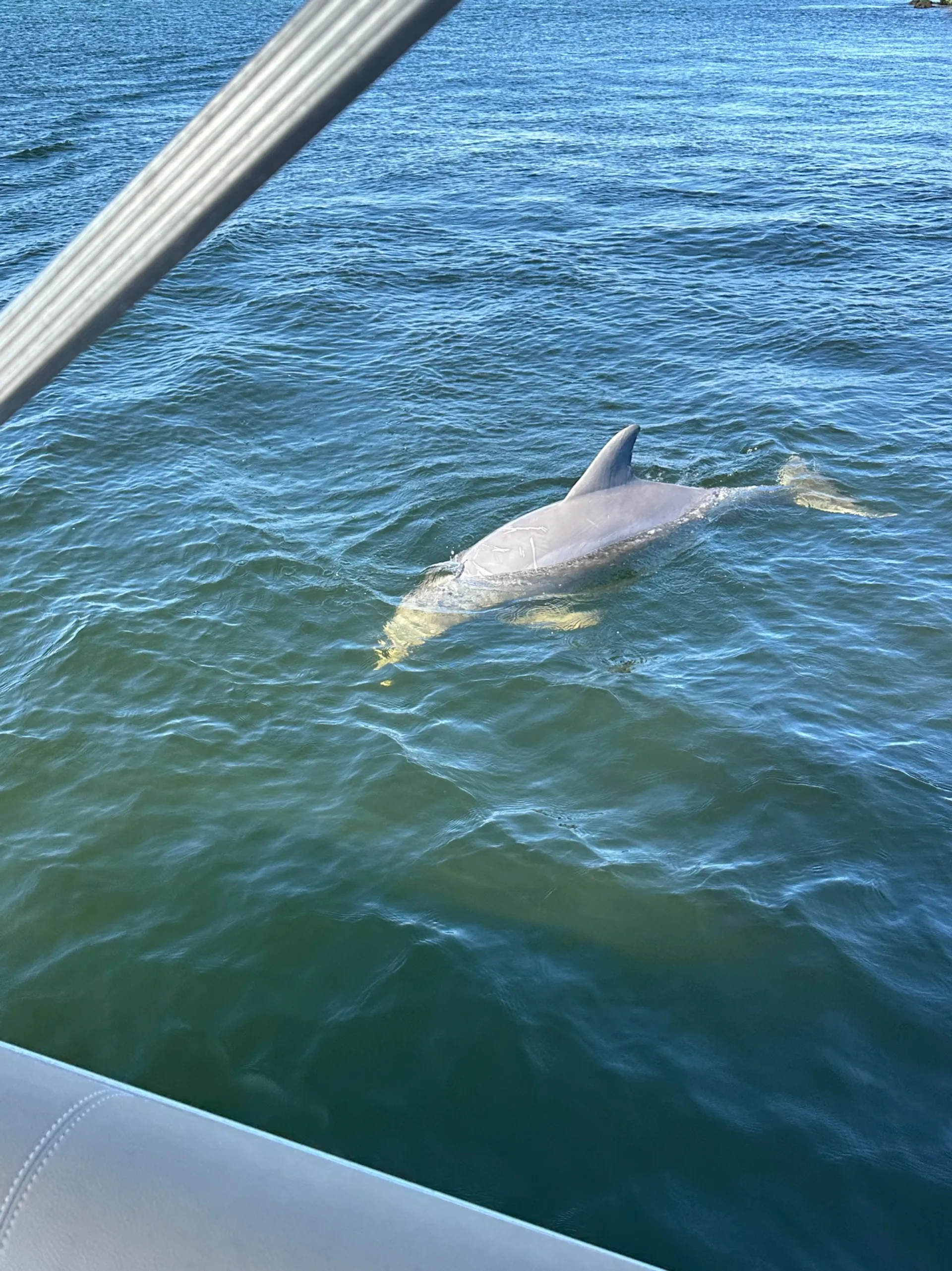 AVALON PONTOONS 25' LSZ CRUISE in Panama City, FL — photo 6