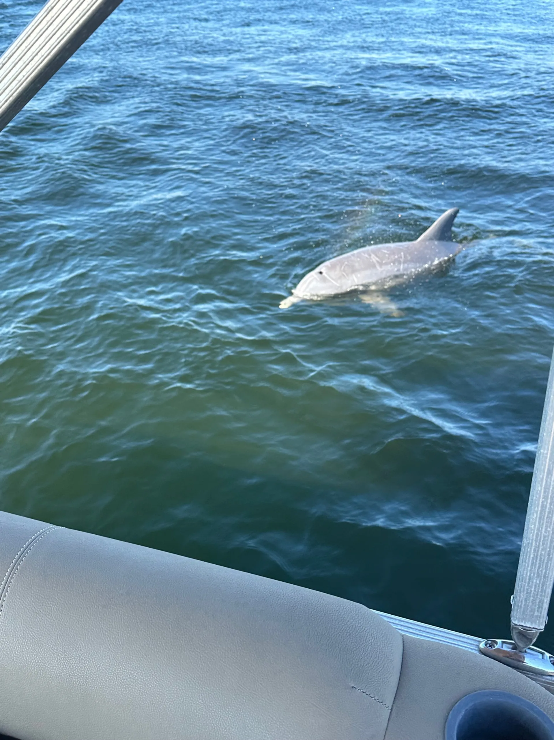 AVALON PONTOONS 25' LSZ CRUISE in Panama City, FL — photo 9