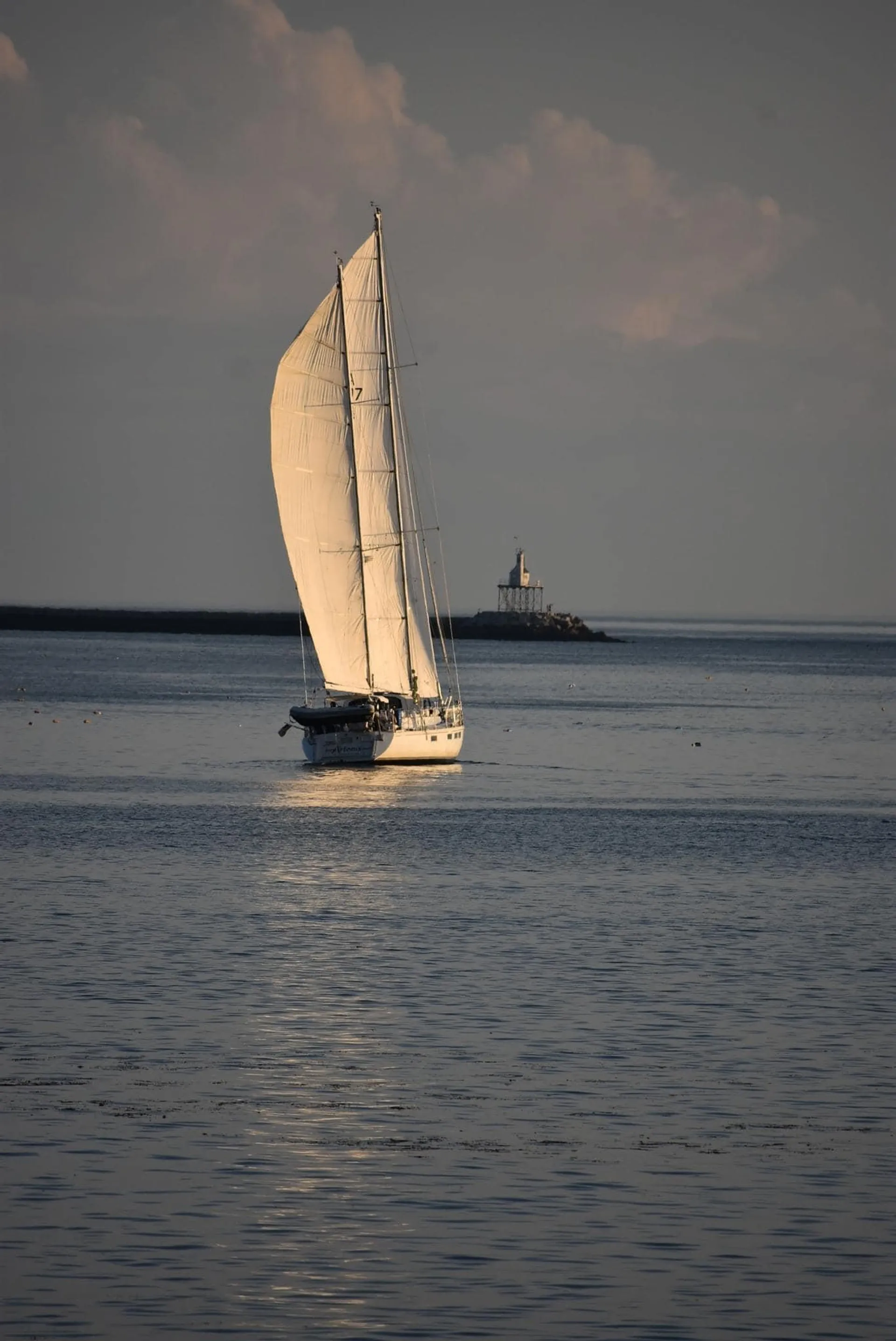 Day Sailing in New England is the best on our  sailing yacht ARTEMIS