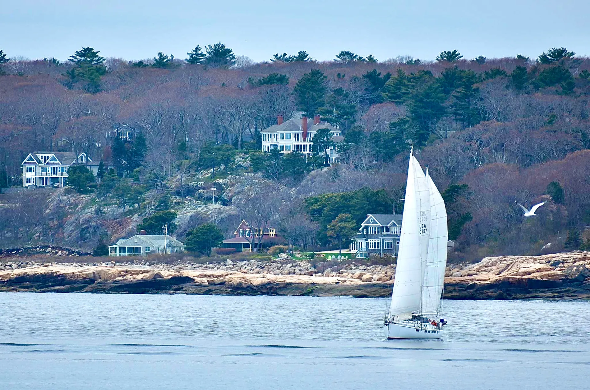 Day Sailing in New England is the best on our  sailing yacht ARTEMIS
