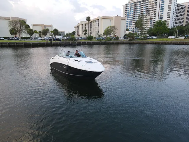 Rent a Sea Ray Boats classic in Hallandale Beach, FL near me