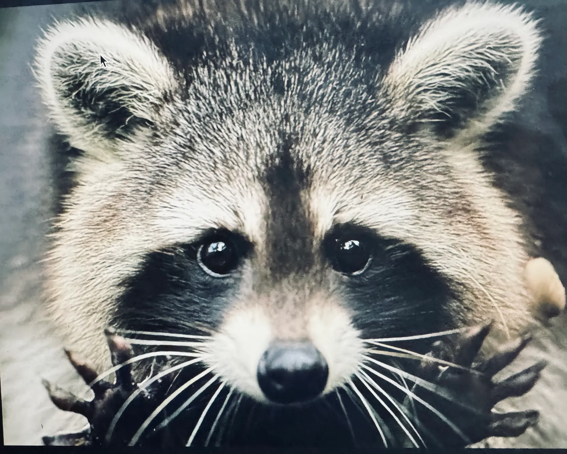 Day of Fun -In -The -Sun by Boat!
