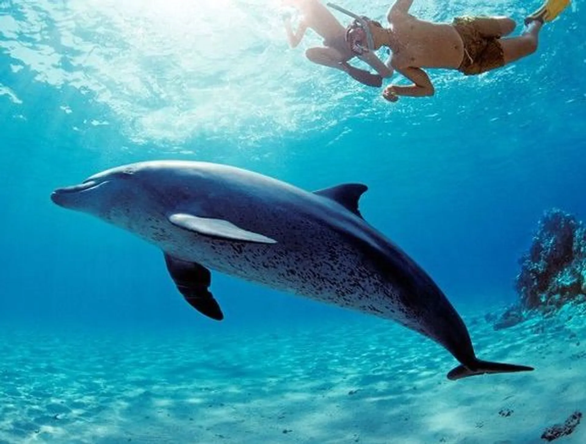 Best Ocean Adventure in Key West – Explore, Relax, Discover!