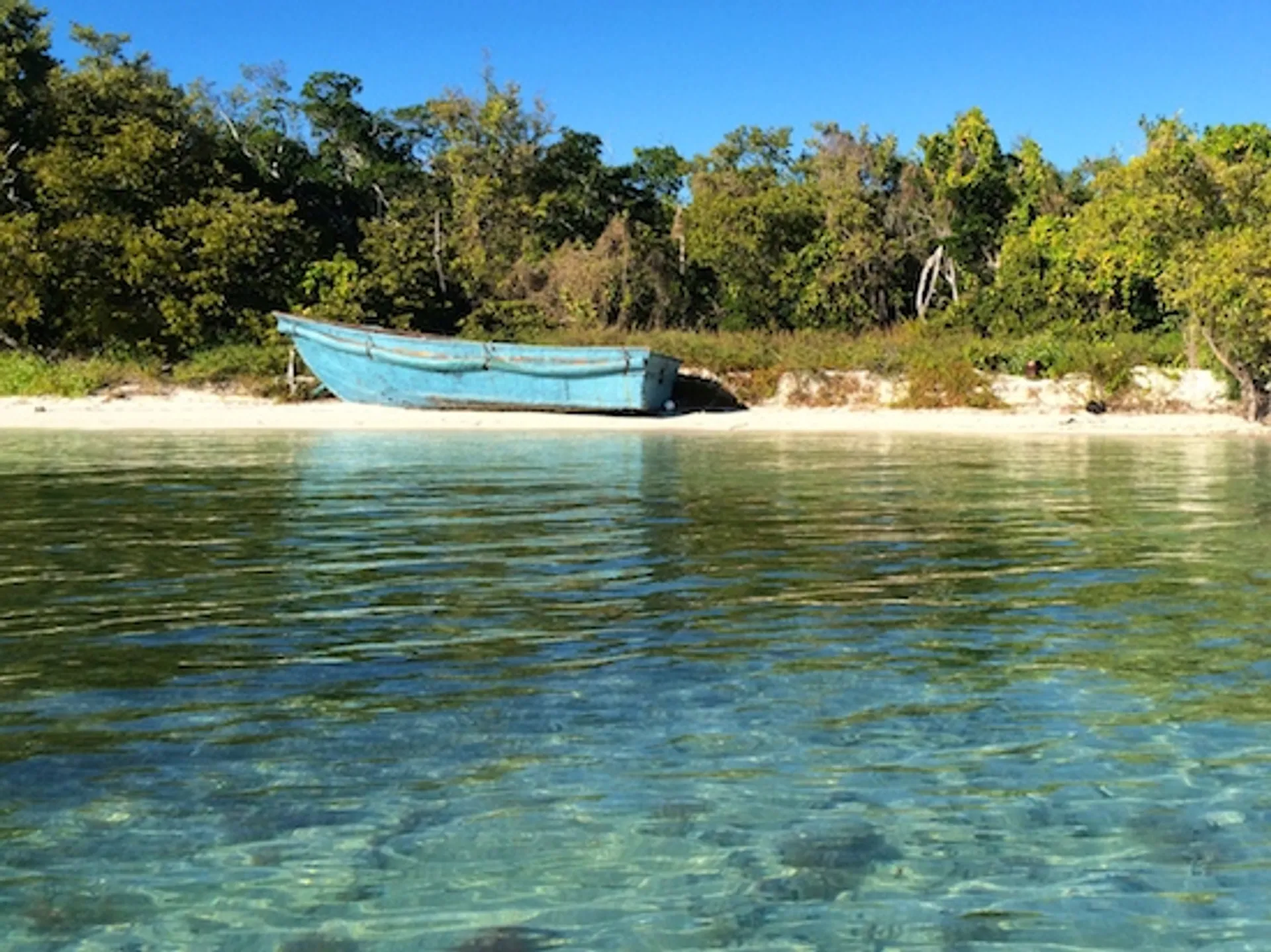 Best Ocean Adventure in Key West – Explore, Relax, Discover!