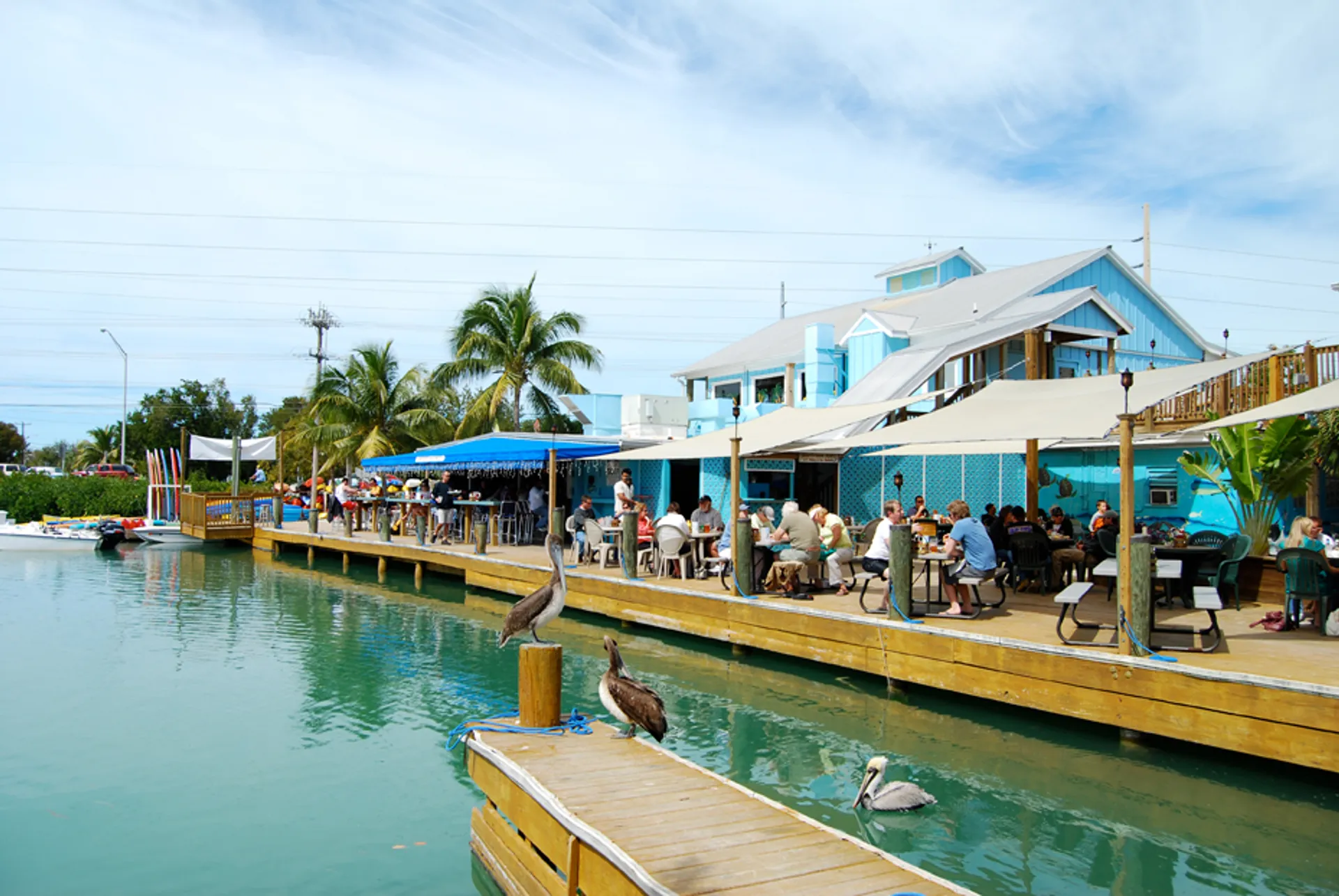 Best Ocean Adventure in Key West – Explore, Relax, Discover!