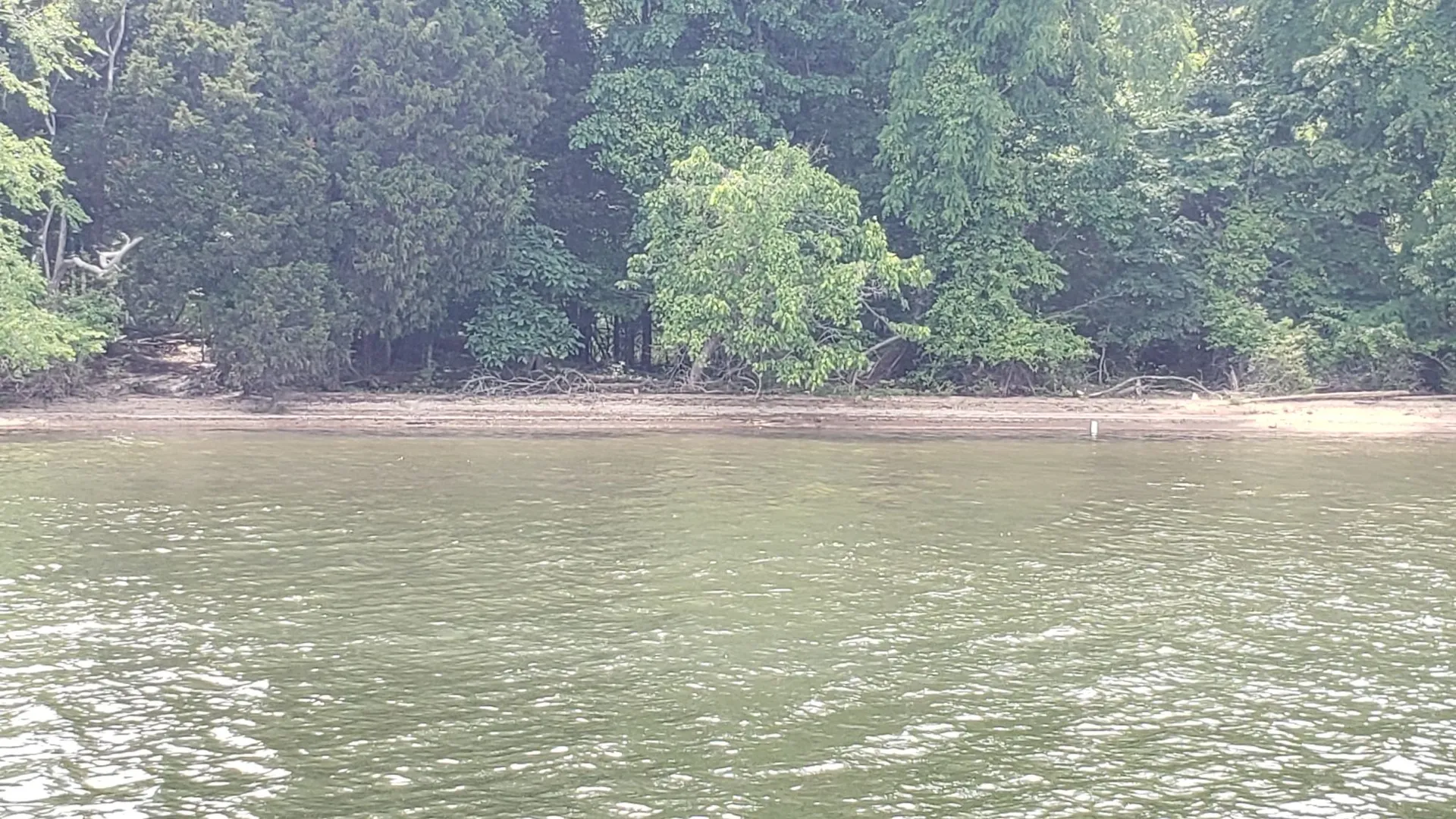 Watts Bar Lake guided Pontoon Boat Rental Island Sunset Excursions