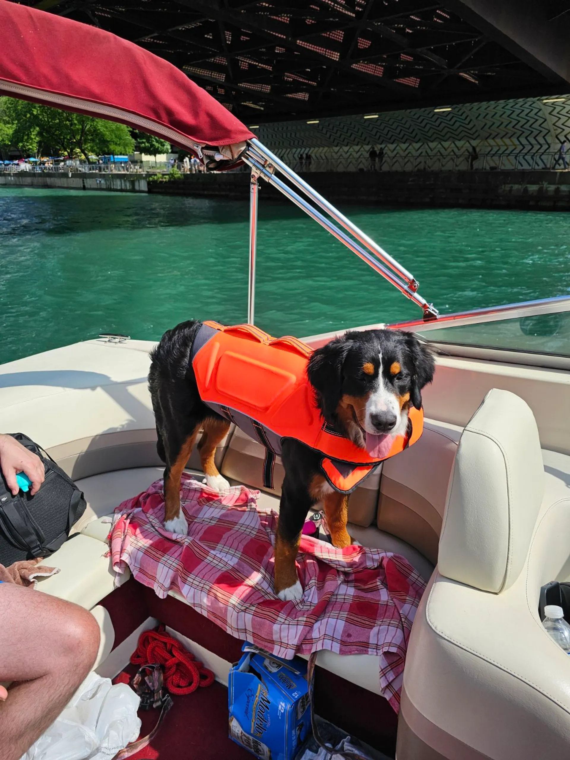 27' Chris Craft with Water Toys plus Jet Ski Available