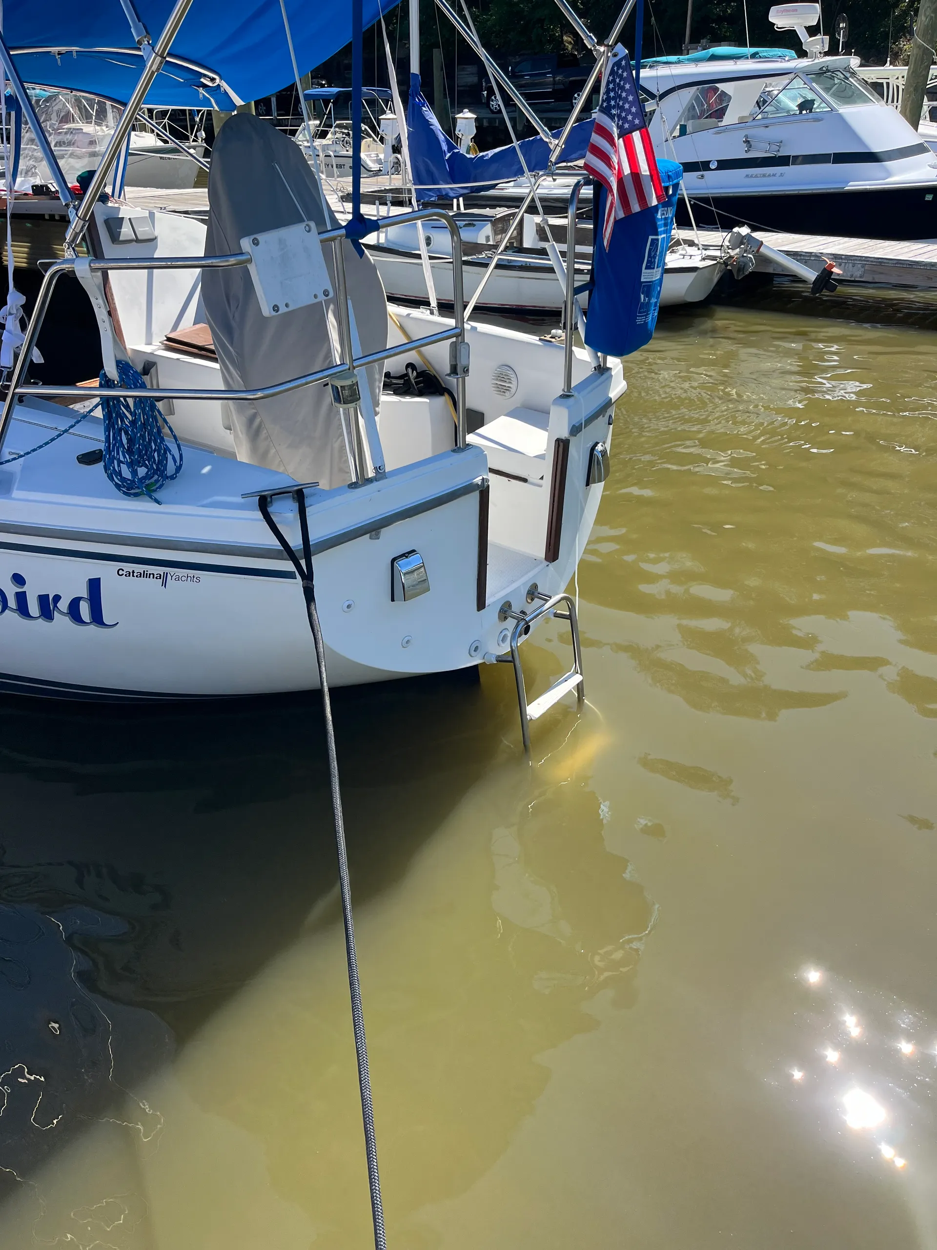 Catalina 30 Wing in Chestertown, MD — photo 3