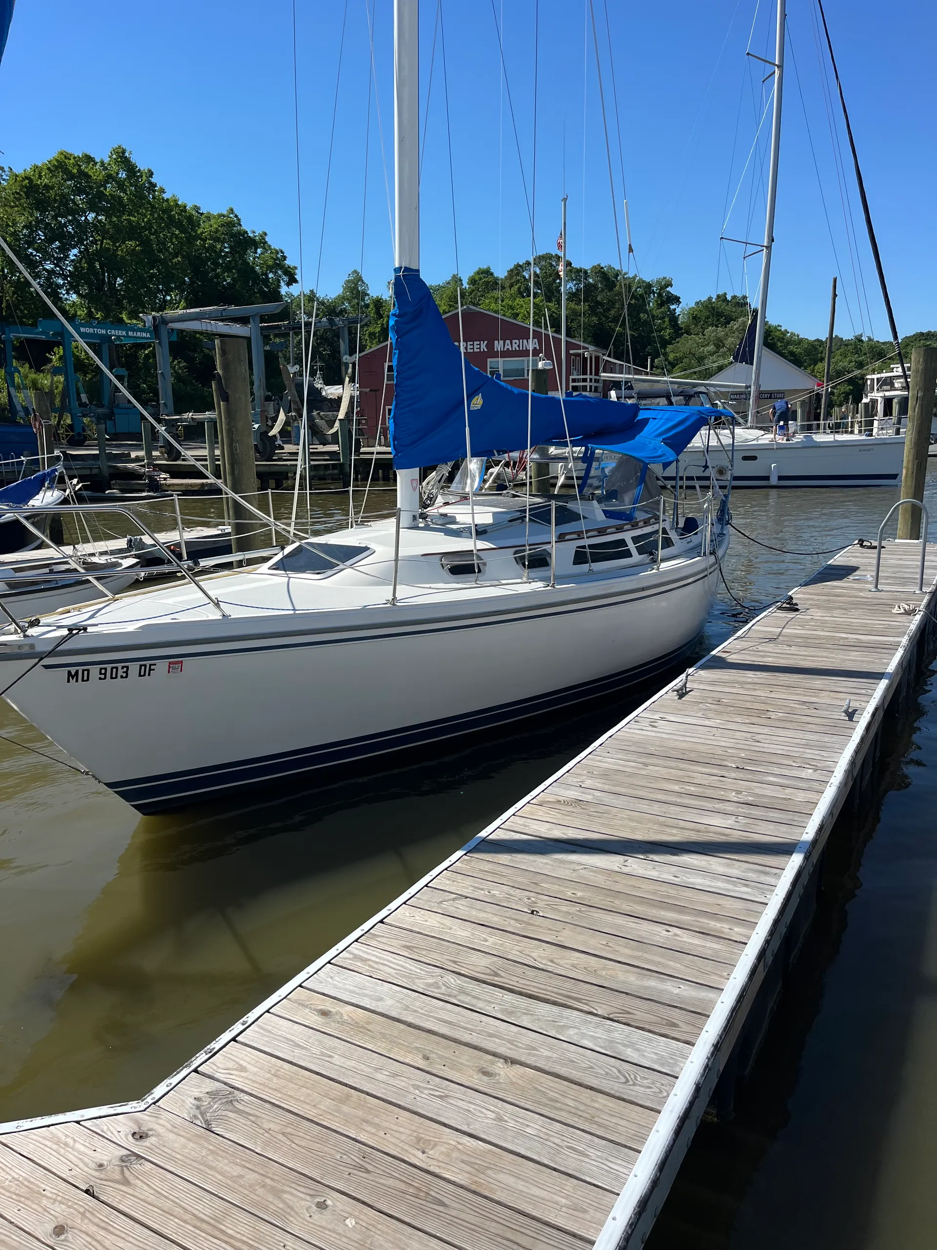 Catalina 30 Wing in Chestertown, MD — photo 5