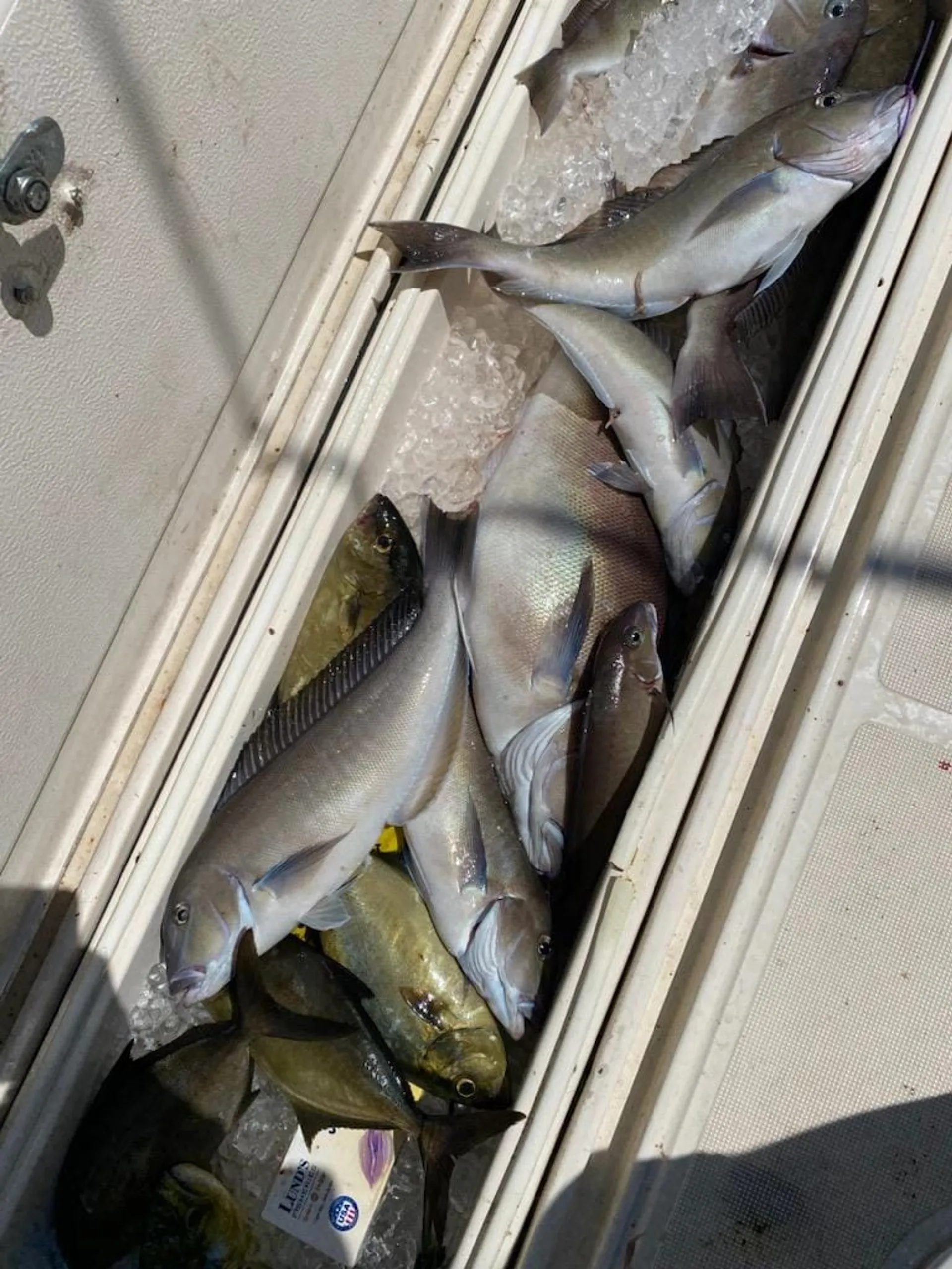 Custom Party Cruises & Fishing Trips in Virginia Beach