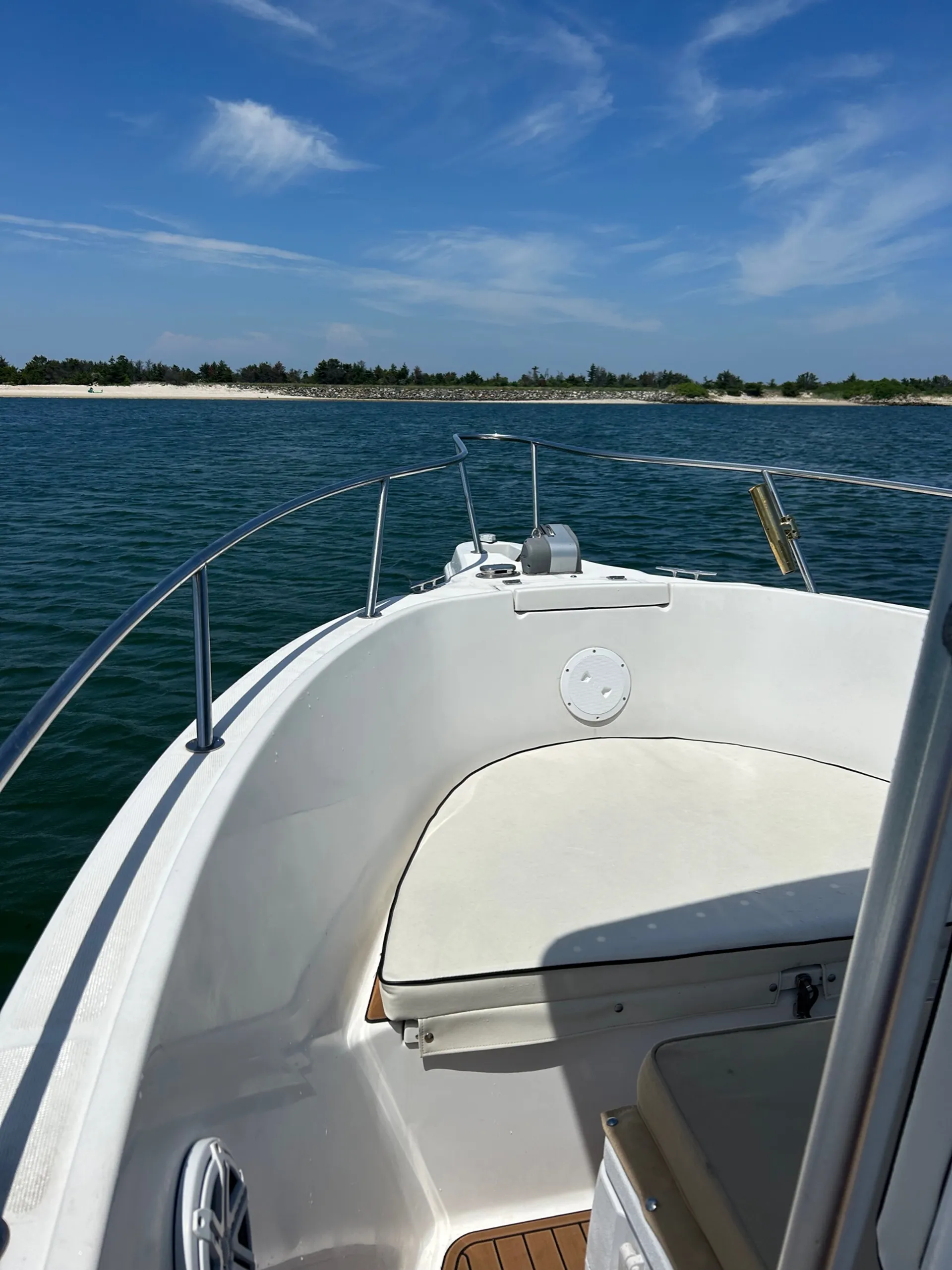 Perfect Day Boat to Cruise, Swim and just RELAX!! FUEL INCLUDED