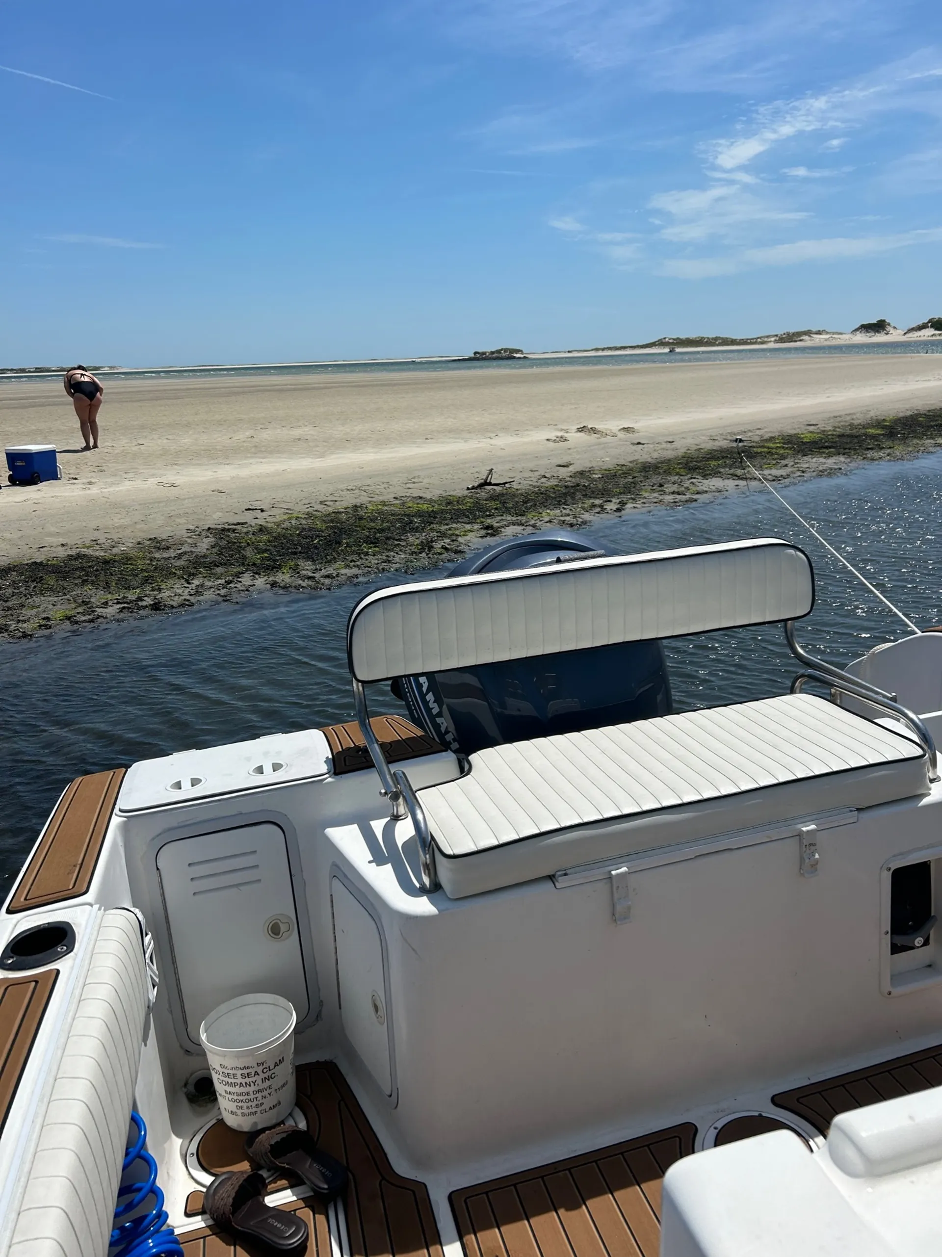 Perfect Day Boat to Cruise, Swim and just RELAX!! FUEL INCLUDED