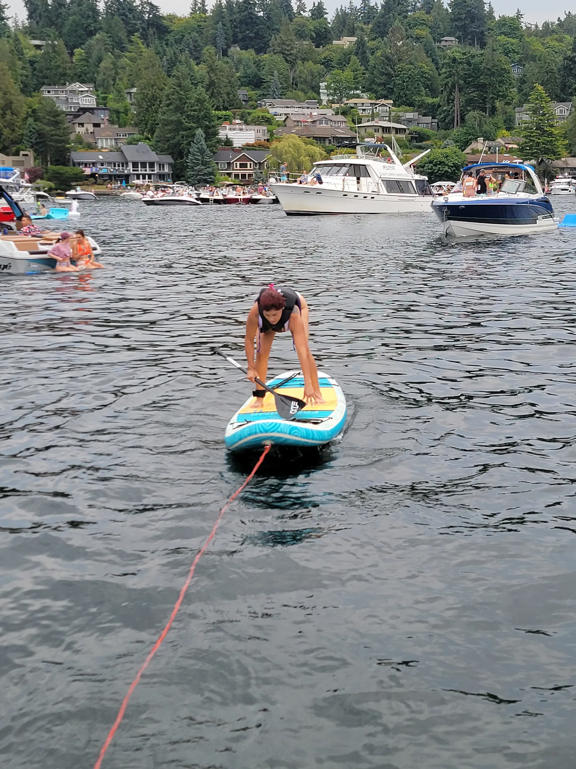 Regal Commodore 2760 in Bellevue, WA — photo 7