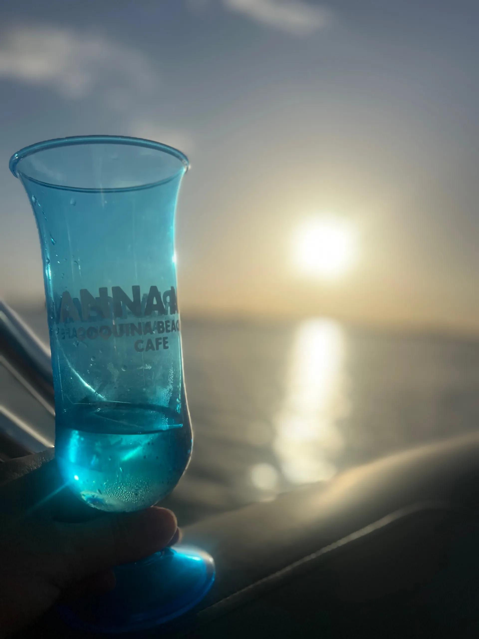 Large Pontoon Boat In Bradenton Manatee