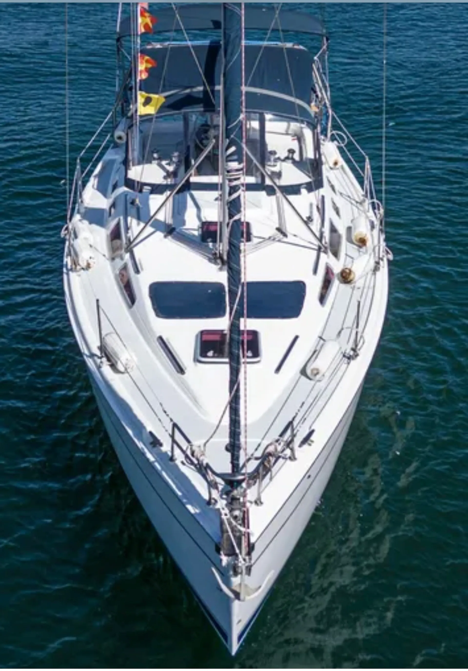 Sail in style on Deja Blue our 36 foot Hunter Yatch 🐬⛵️