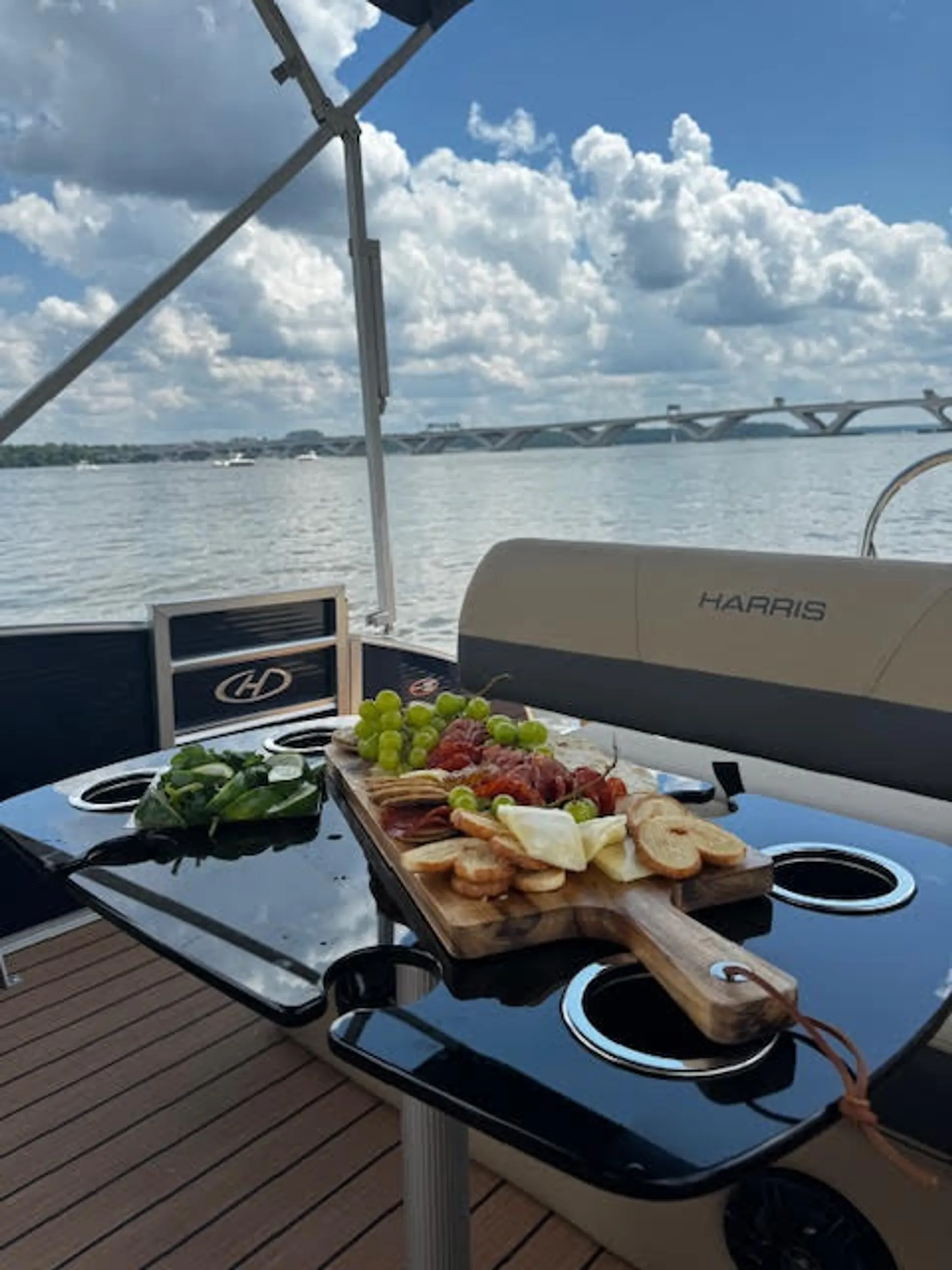 The Play Station - Washington DC 23 Foot Pontoon (lights, cooler, etc)