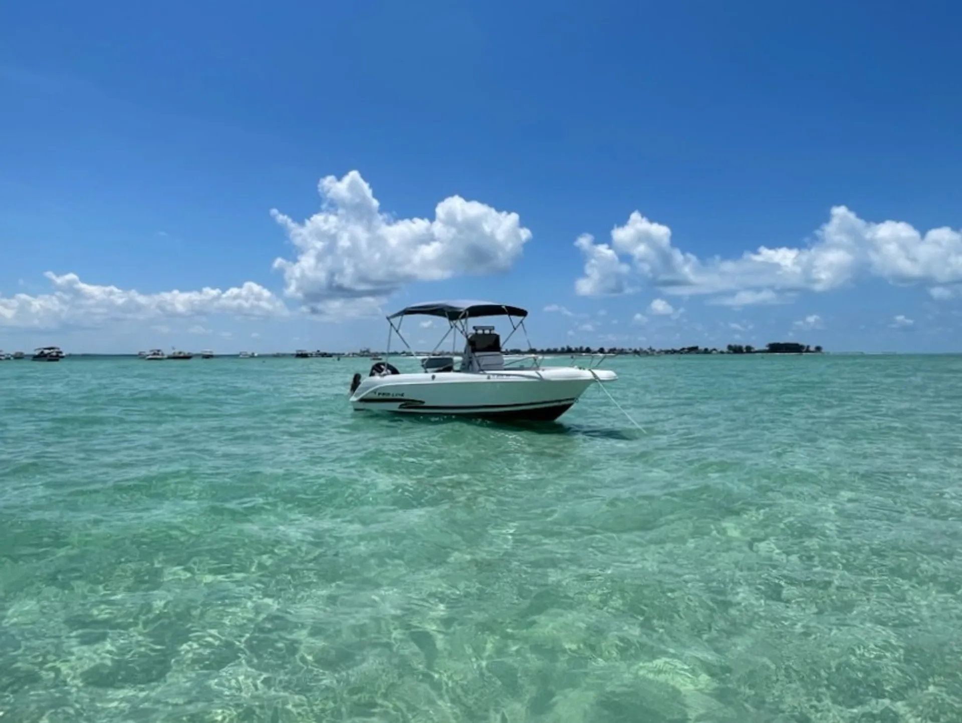 Pro-Line Boats 19 Sport in St. Pete Beach, FL — photo 2