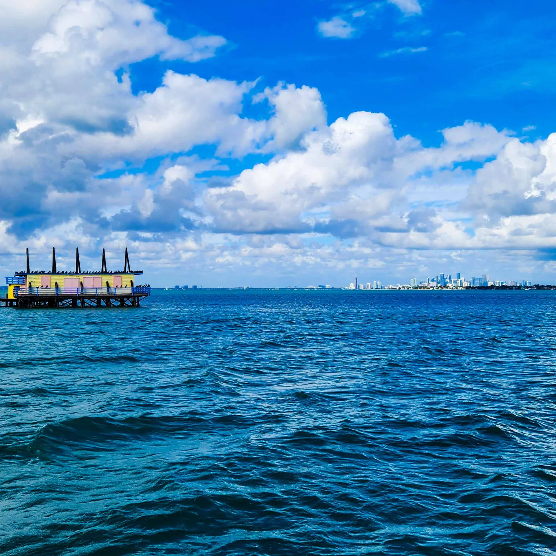 A unique experience in MIAMI