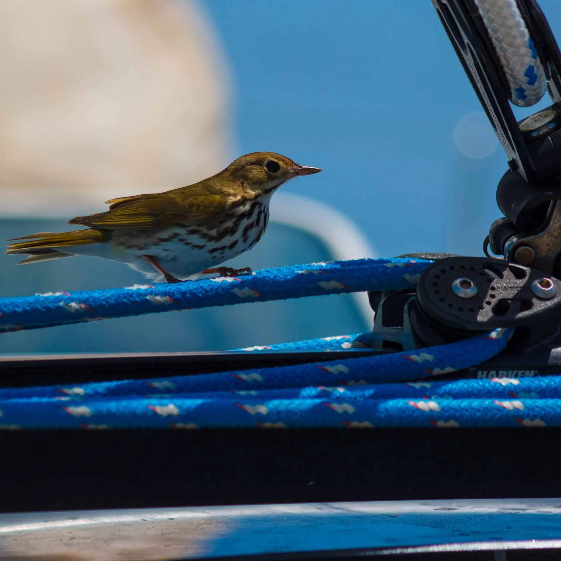 A unique experience in MIAMI