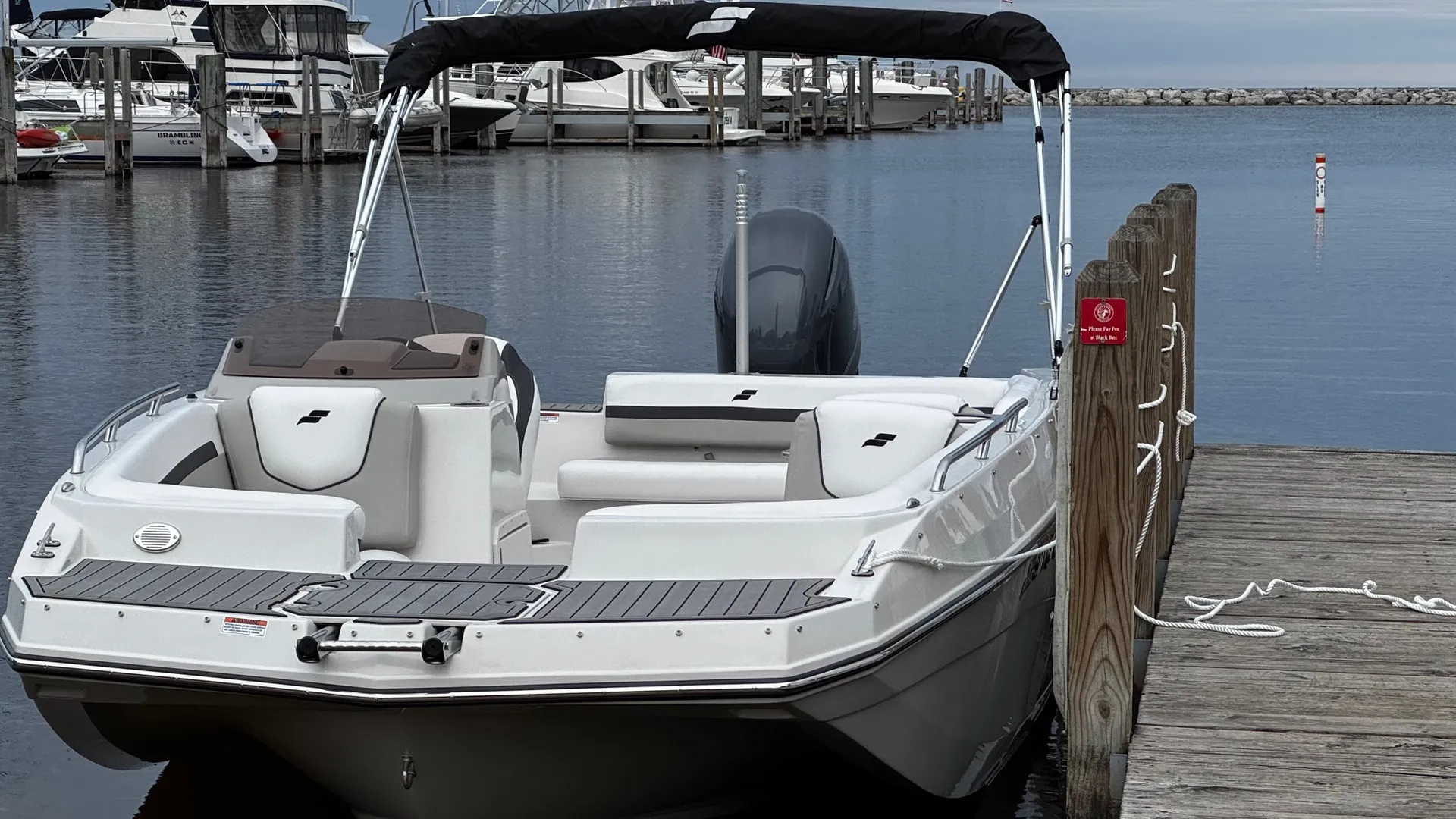 STARCRAFT MARINE SVX 211 OB in Petoskey, MI — photo 2